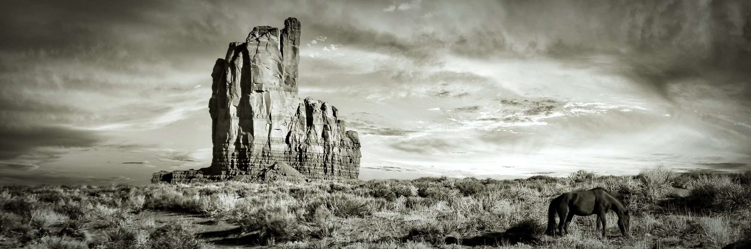 Wild Horse Monument