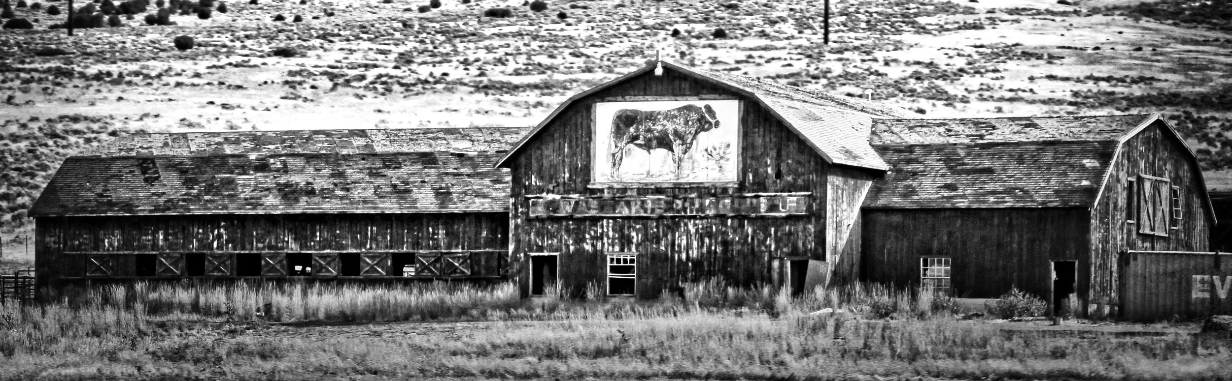 Bull Barn
