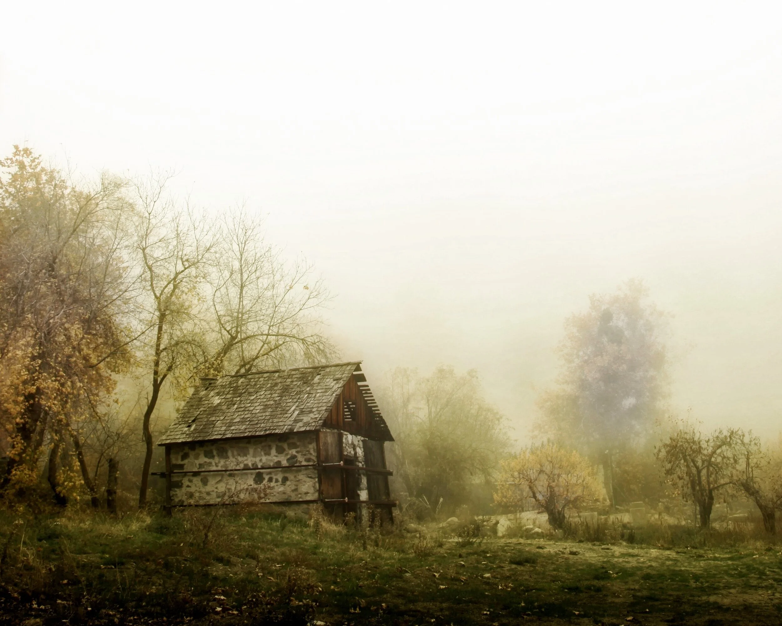 Panoramic / collections