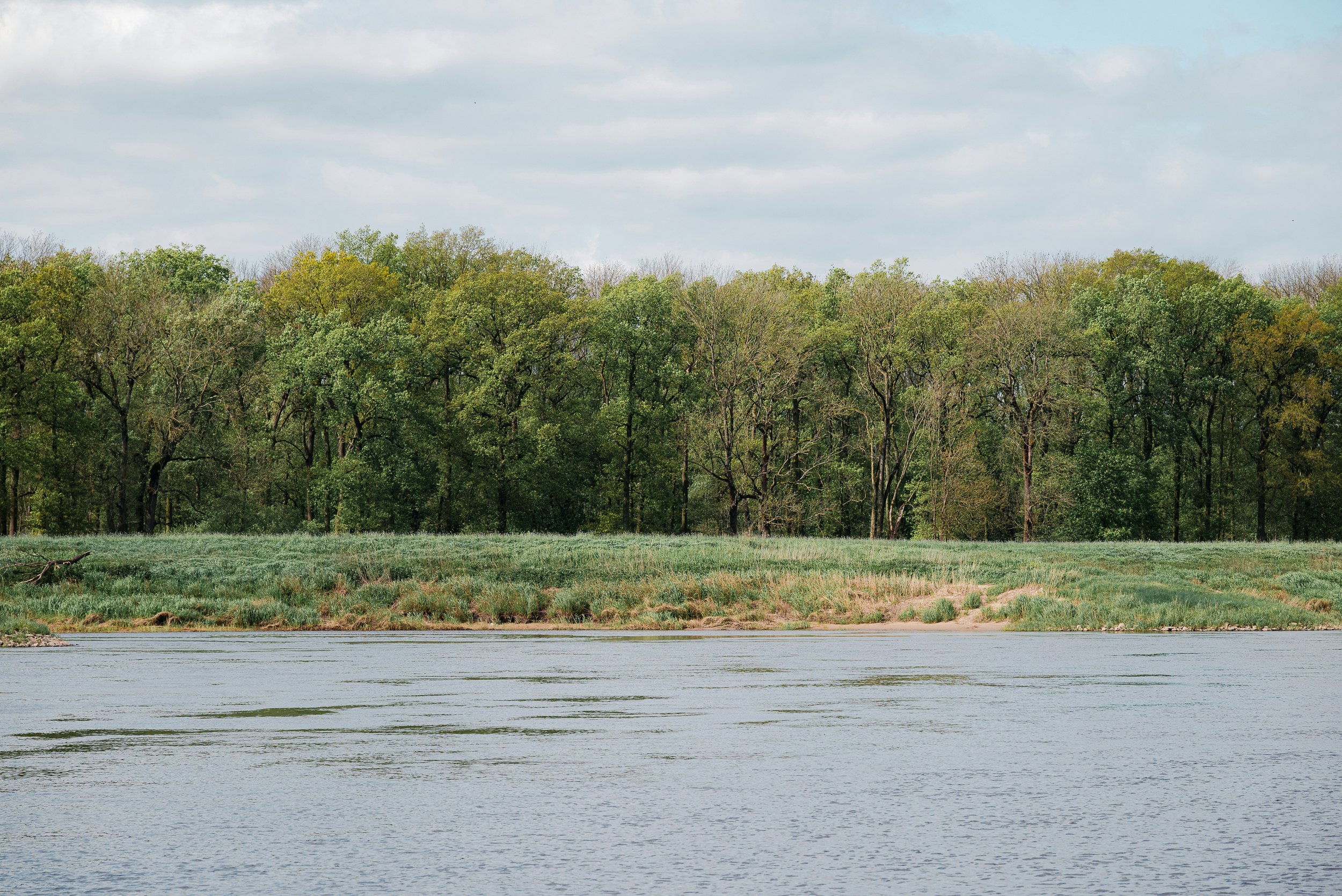 View of a river in the foreground, with a grassy bank and trees in various shades of green in the background; cloudy sky above.