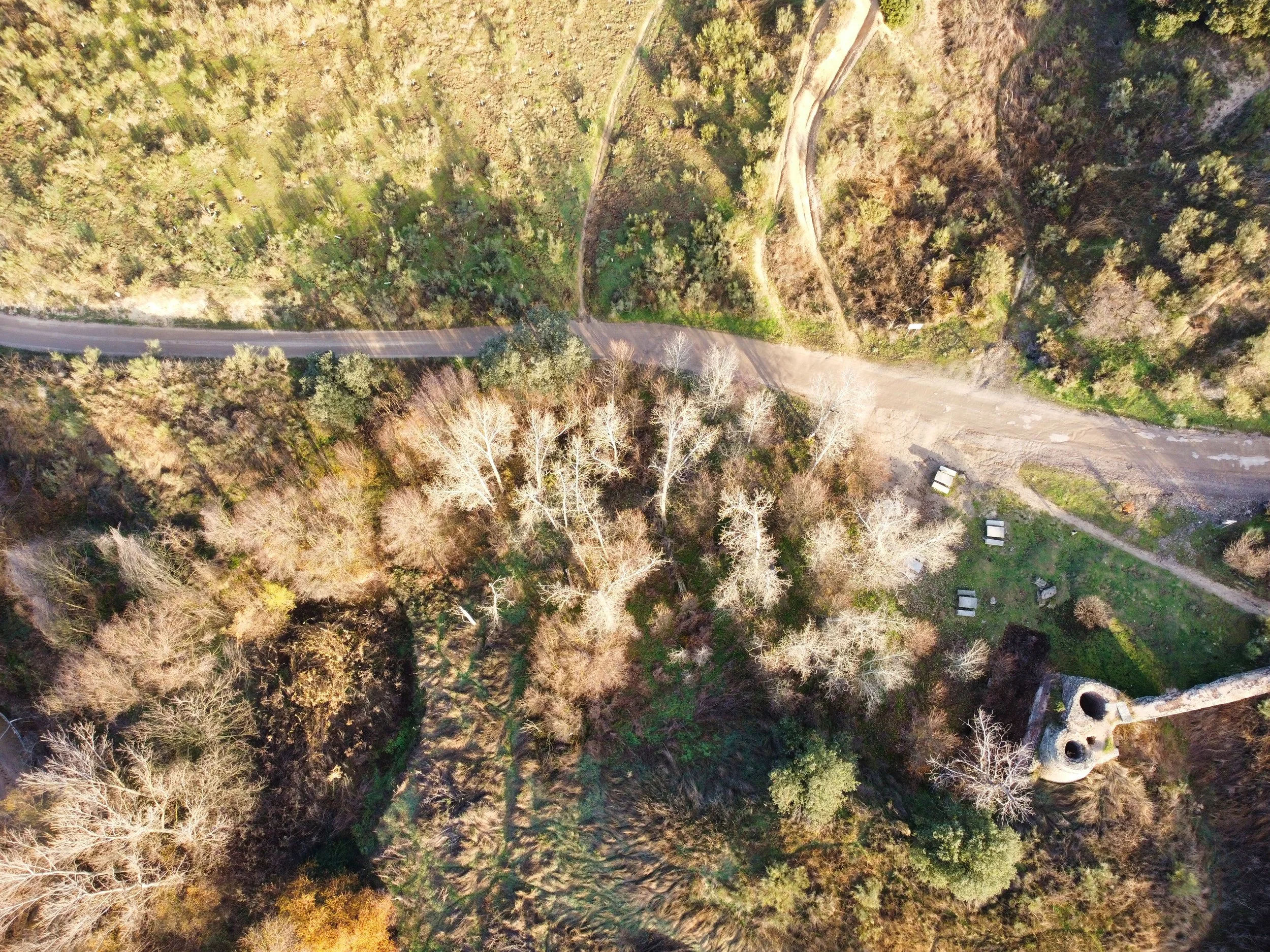 An aerial view of a winding dirt and paved road running through a wooded area with trees, some of which are leafless, and patches of grass.