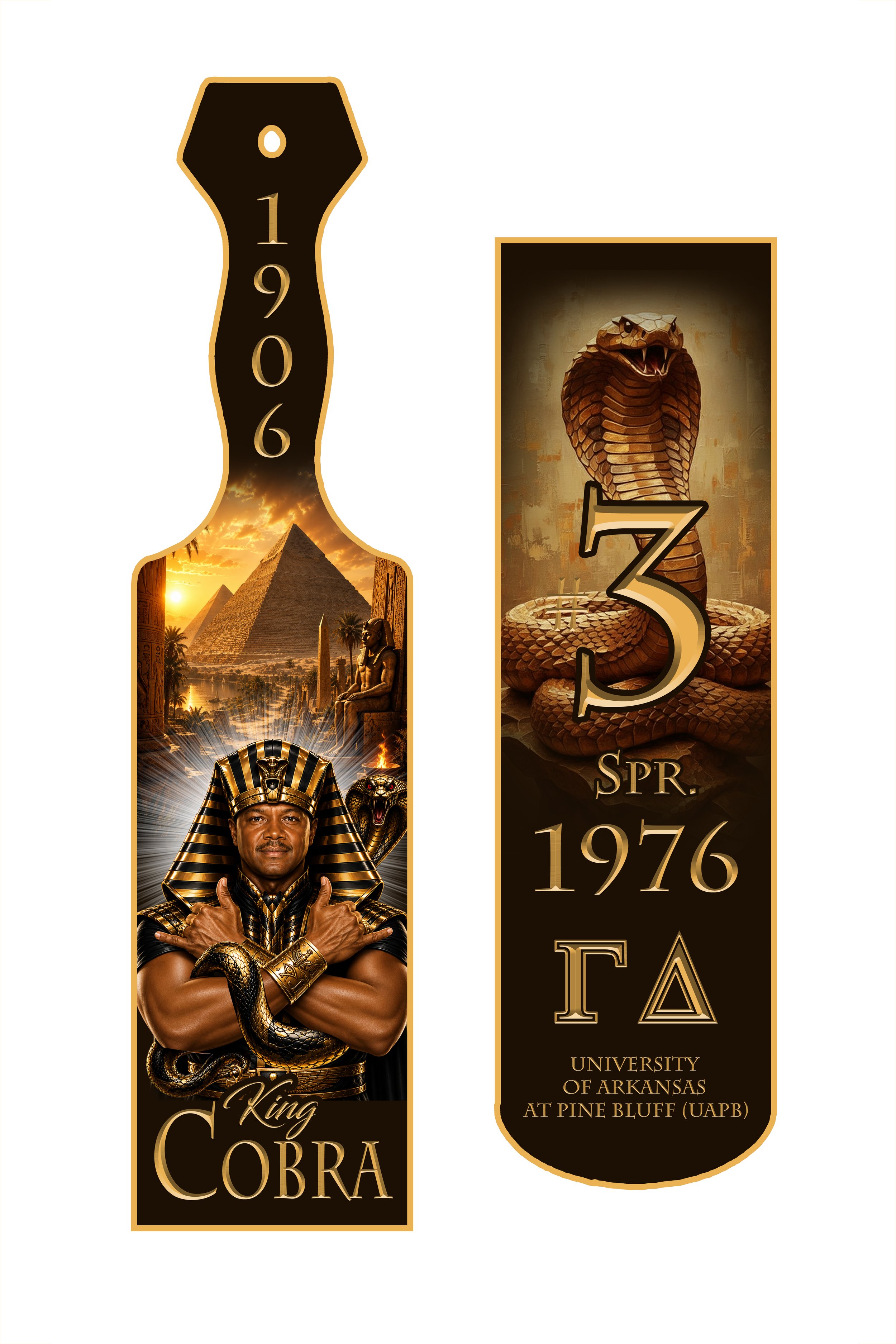 Paddle Example #19
