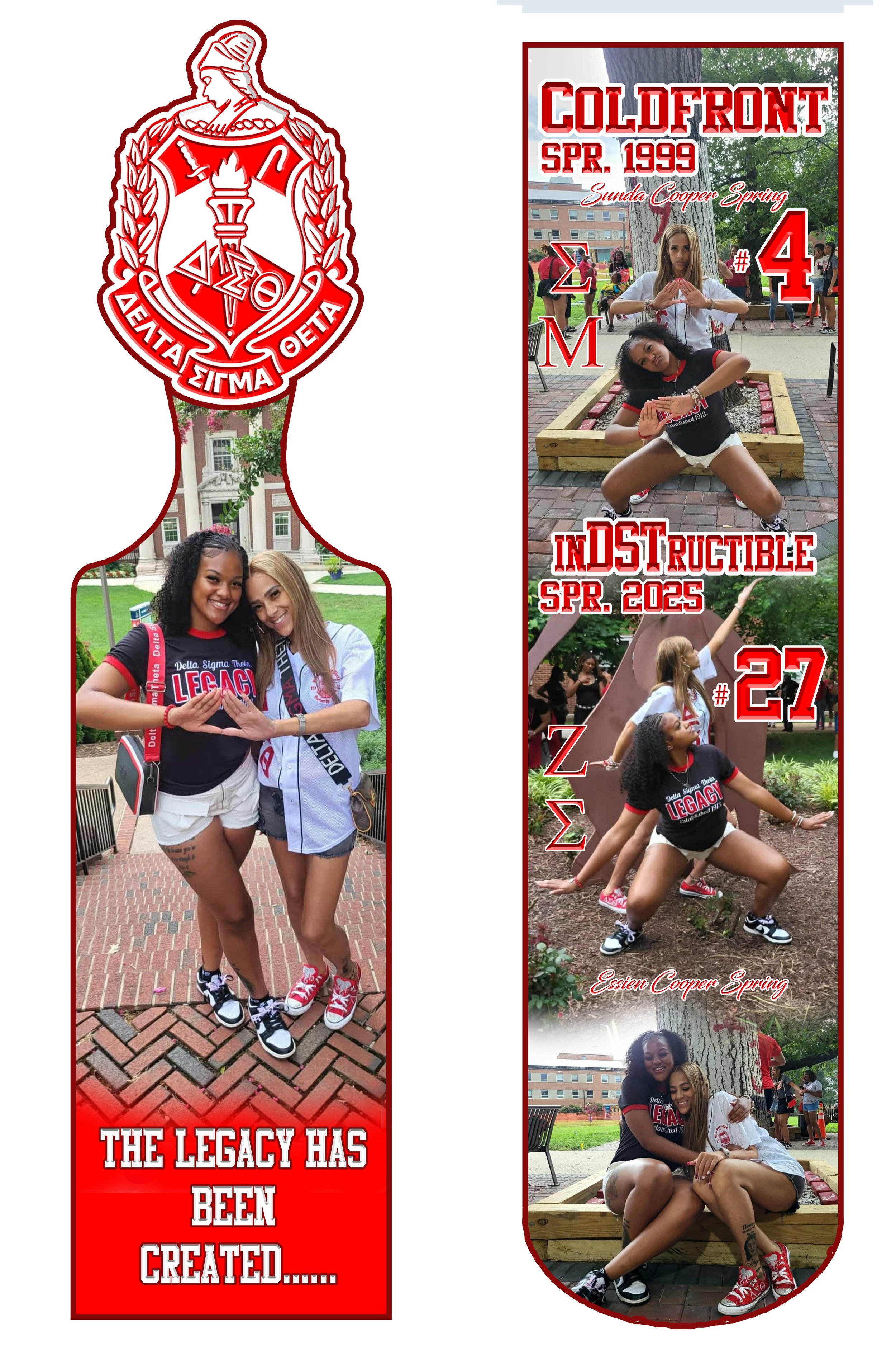 Paddle Example #8