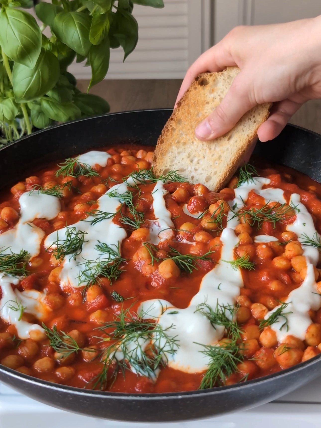 Quick Harissa Chickpea Stew
