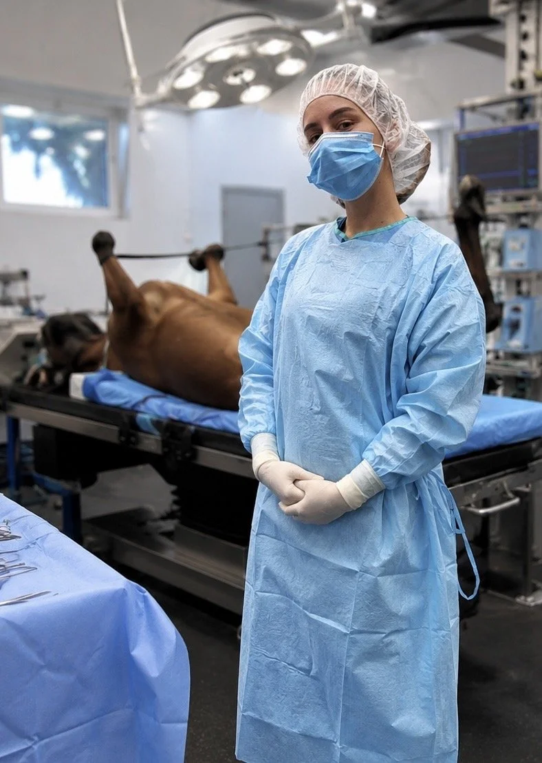 Tierärztin in chirurgischer Schutzkleidung und Maske in Operation im Tierkrankenhaus neben einem liegenden Pferd.