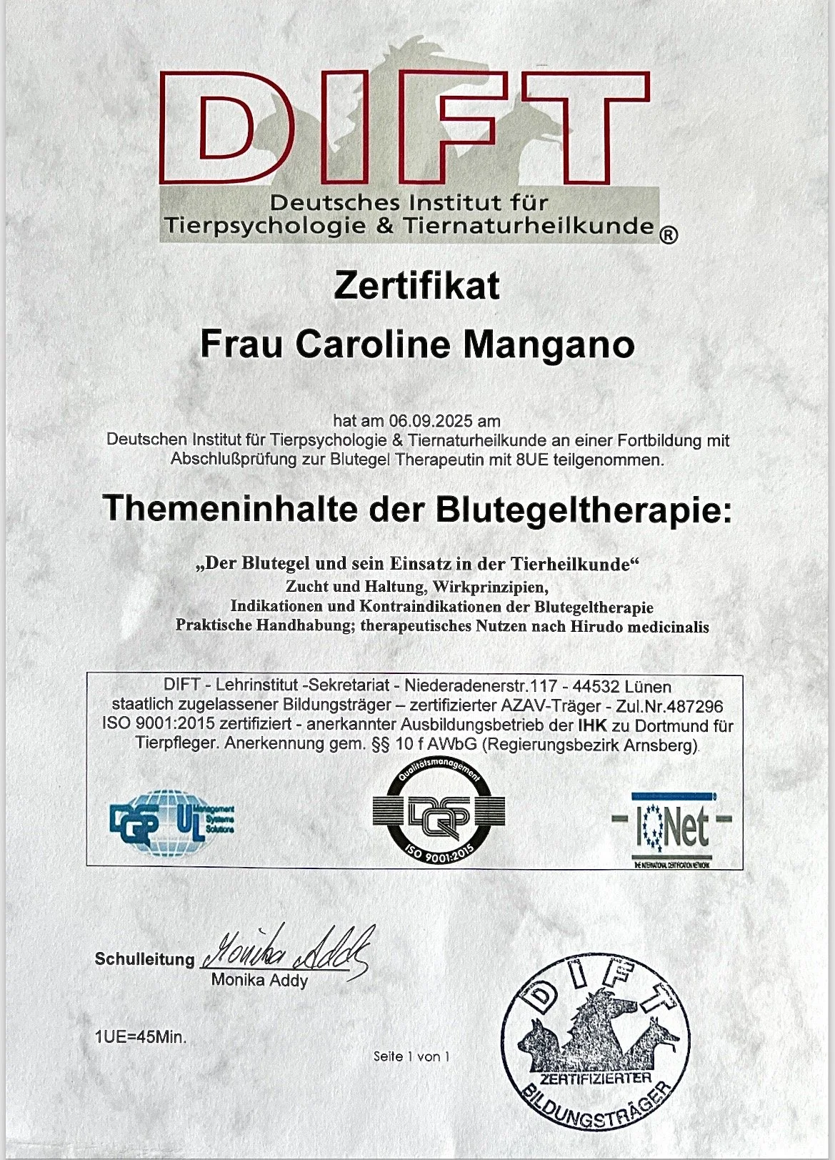 Zertifikat vom Deutschen Institut für Tierpsychologie & Tiernaturheilkunde für Frau Caroline Mangano, ausgestellt am 06.09.2025, über die Fortbildung in Blutgeltherapie mit Abschlussprüfung. Enthält Logos und Stempel des Instituts und der IHK.