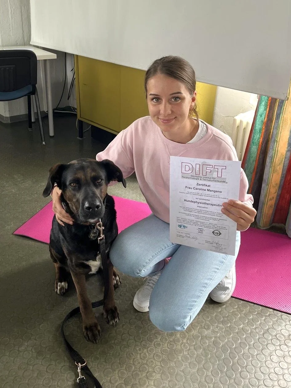 Eine junge Frau mit einem Hund sitzt auf einem pinken Yogamatte im Raum und hält ein Zertifikat in der Hand. Die Frau lächelt in die Kamera.