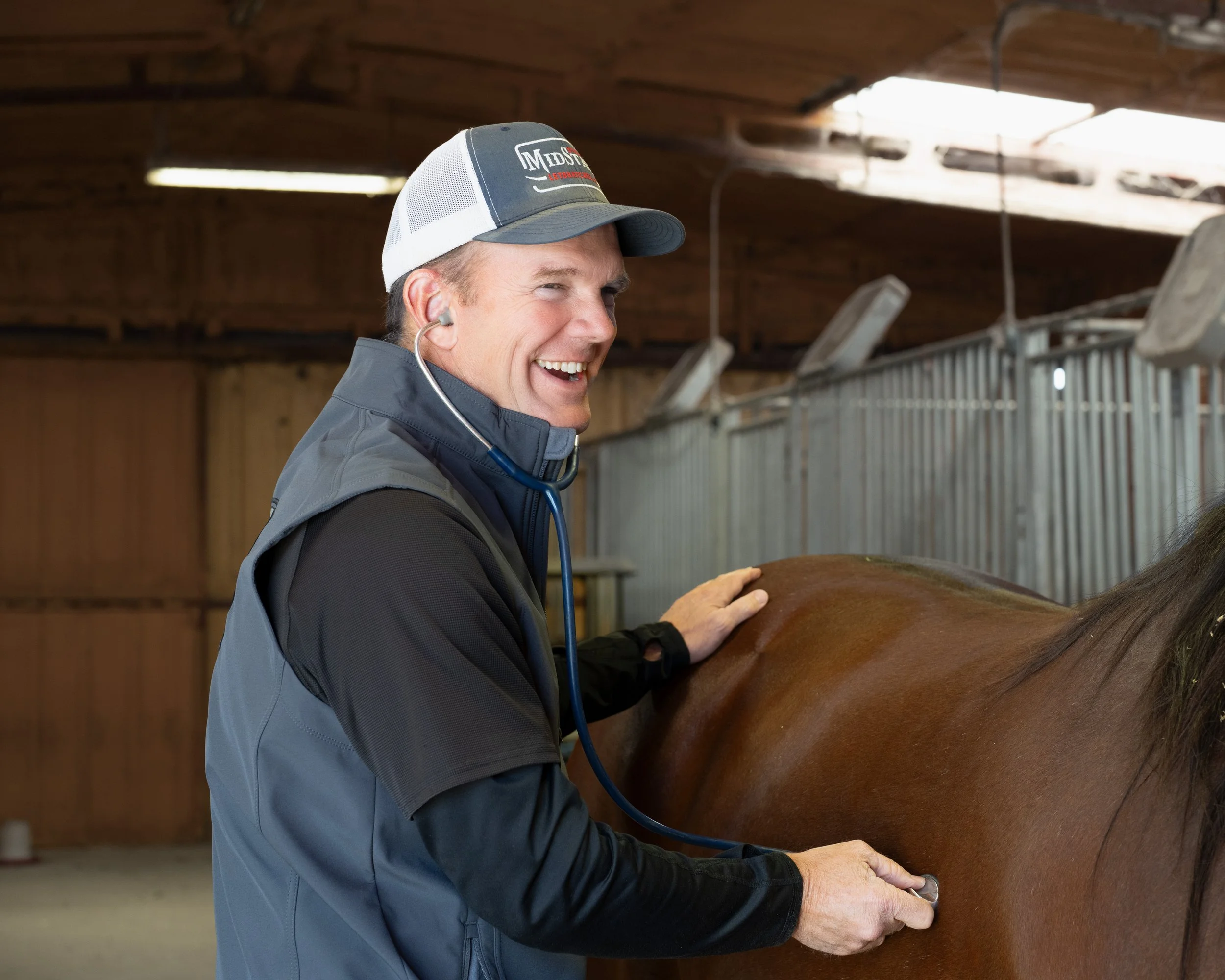 A man wearing a gray jacket, a baseball cap, and a stethoscope around his neck, smiling while examining a brown horse in a stable.