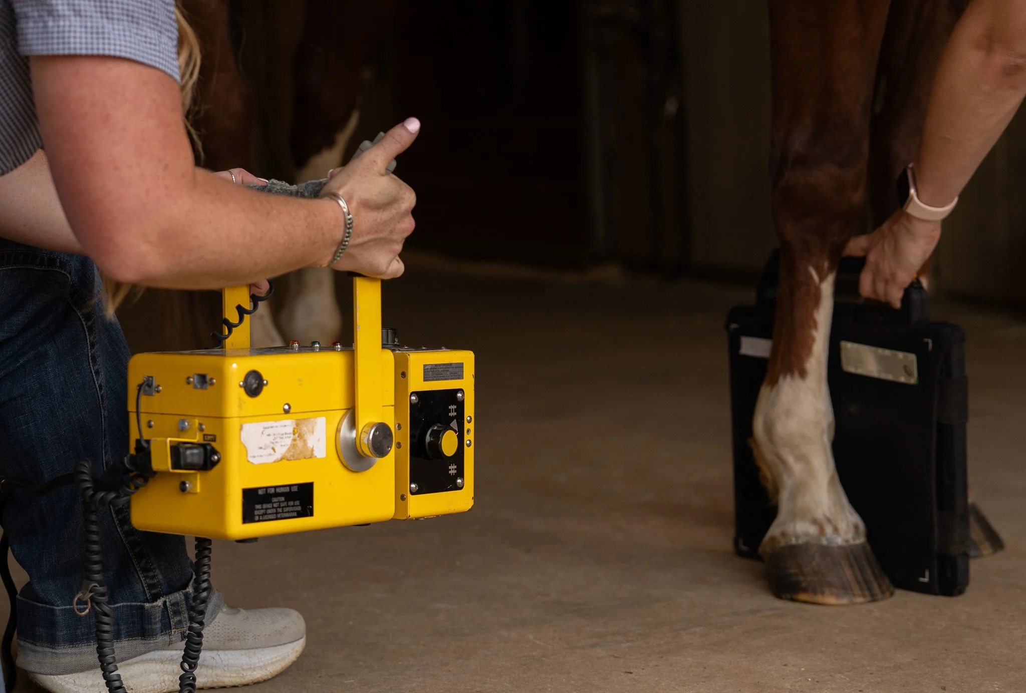 Person holding a yellow device near a cow's udder, with another person holding a black device nearby.