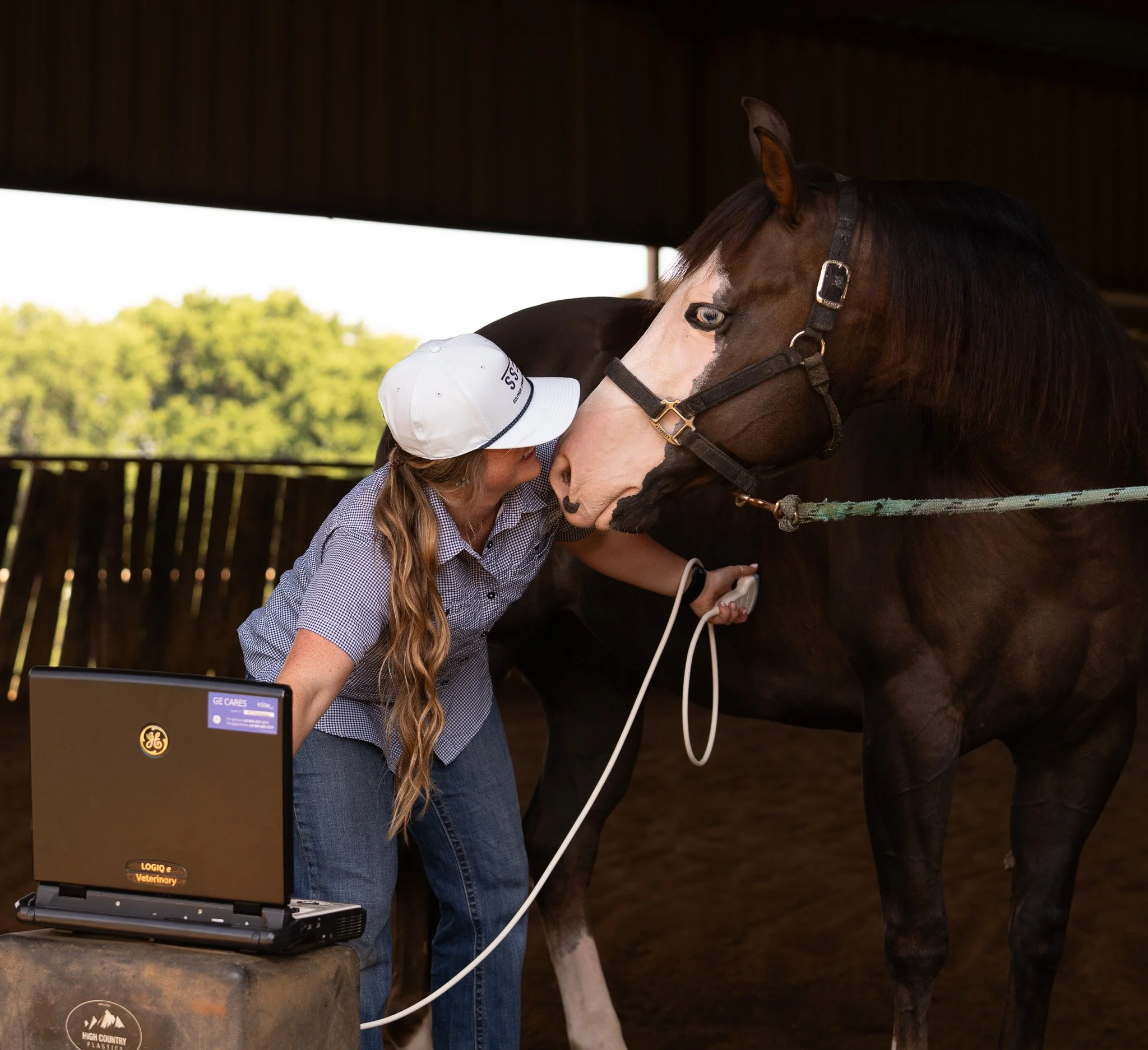 A veterinarian examining a horse's face inside a stable, with a laptop on a rock in front of her displaying the logo 'High Country Plastics' and a sign that says 'GE CARES Veterinary'.