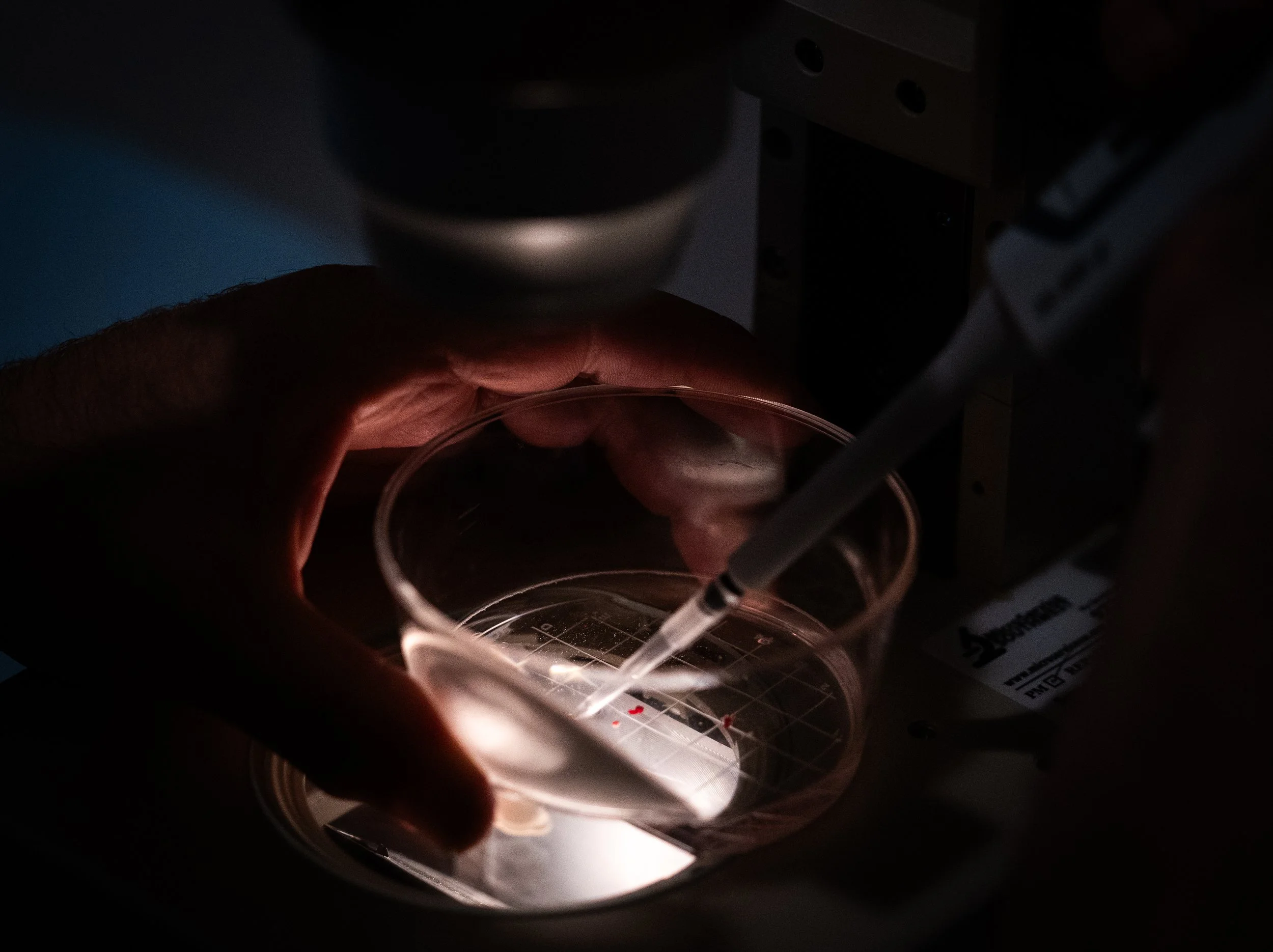 A person pouring liquid from a syringe into a small, clear plastic cup under low light conditions.