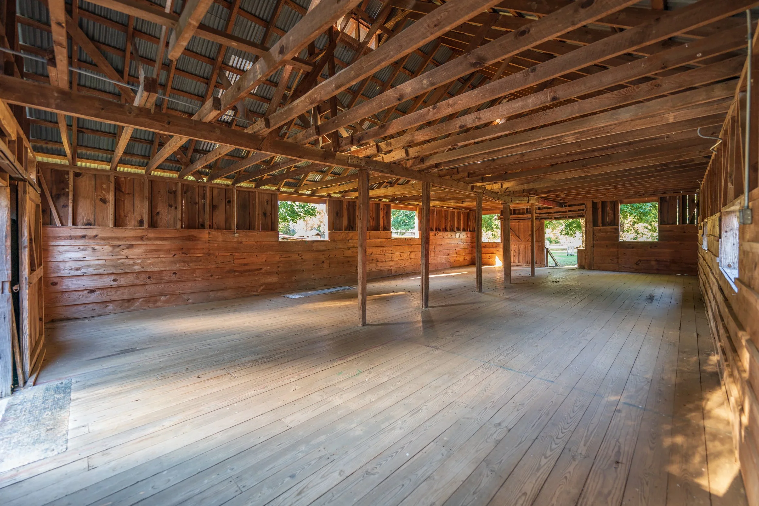 seed house inside.webp