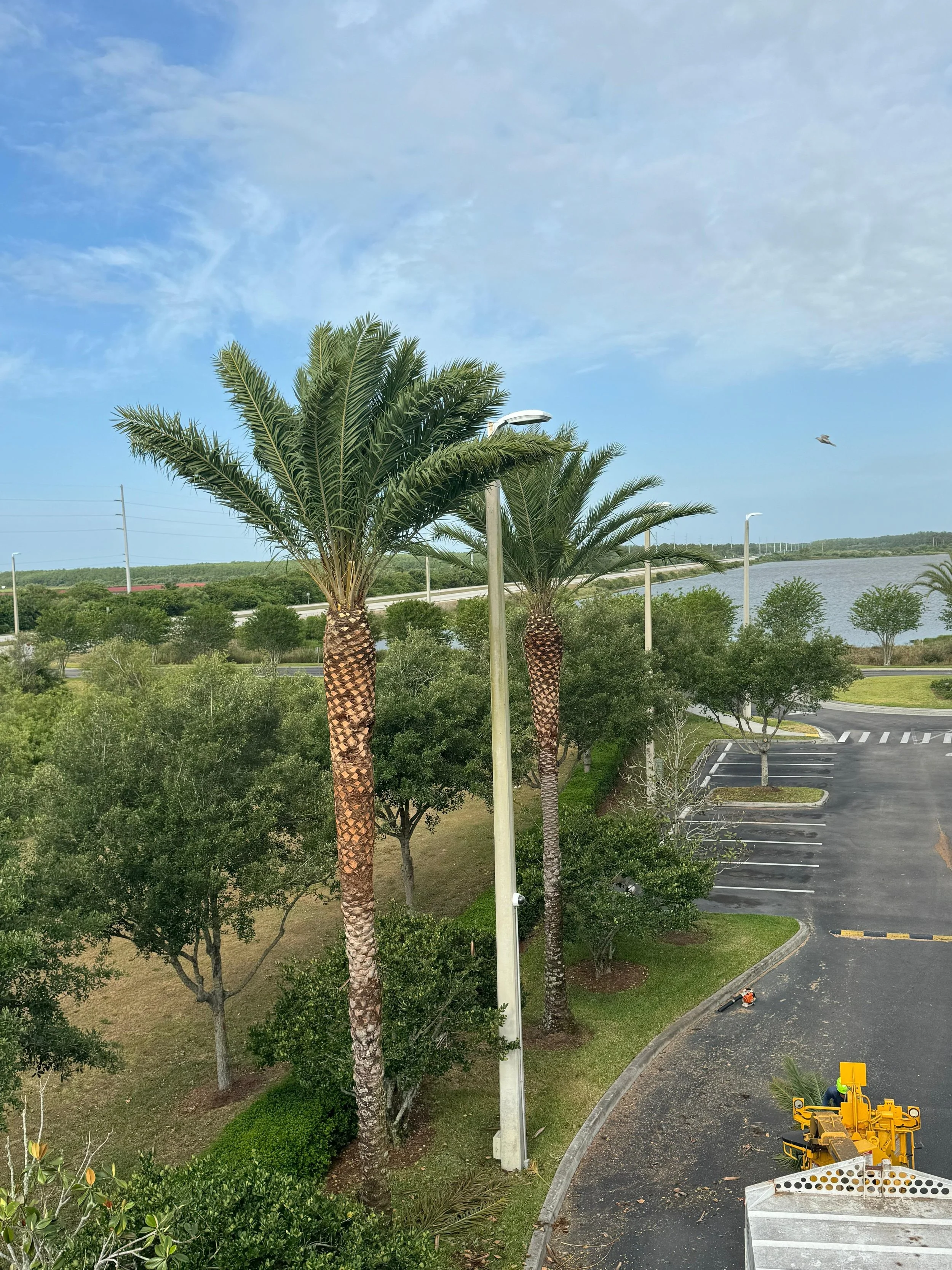 7a24e461-54d6-48b5-88fc-e25ca231c5f7.jpeg