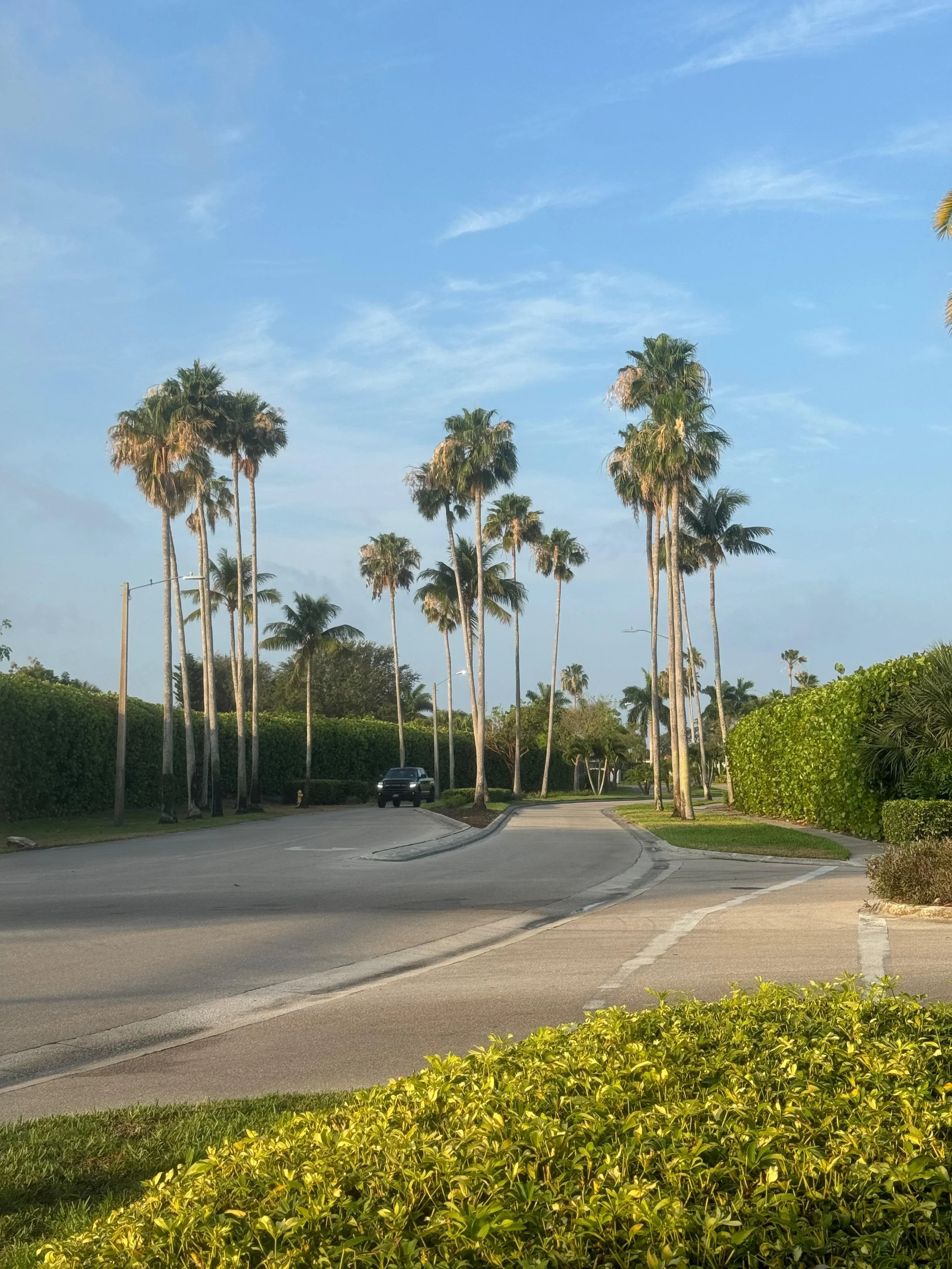 b166f026-a94e-4c01-b045-84e3acd2f631.jpeg