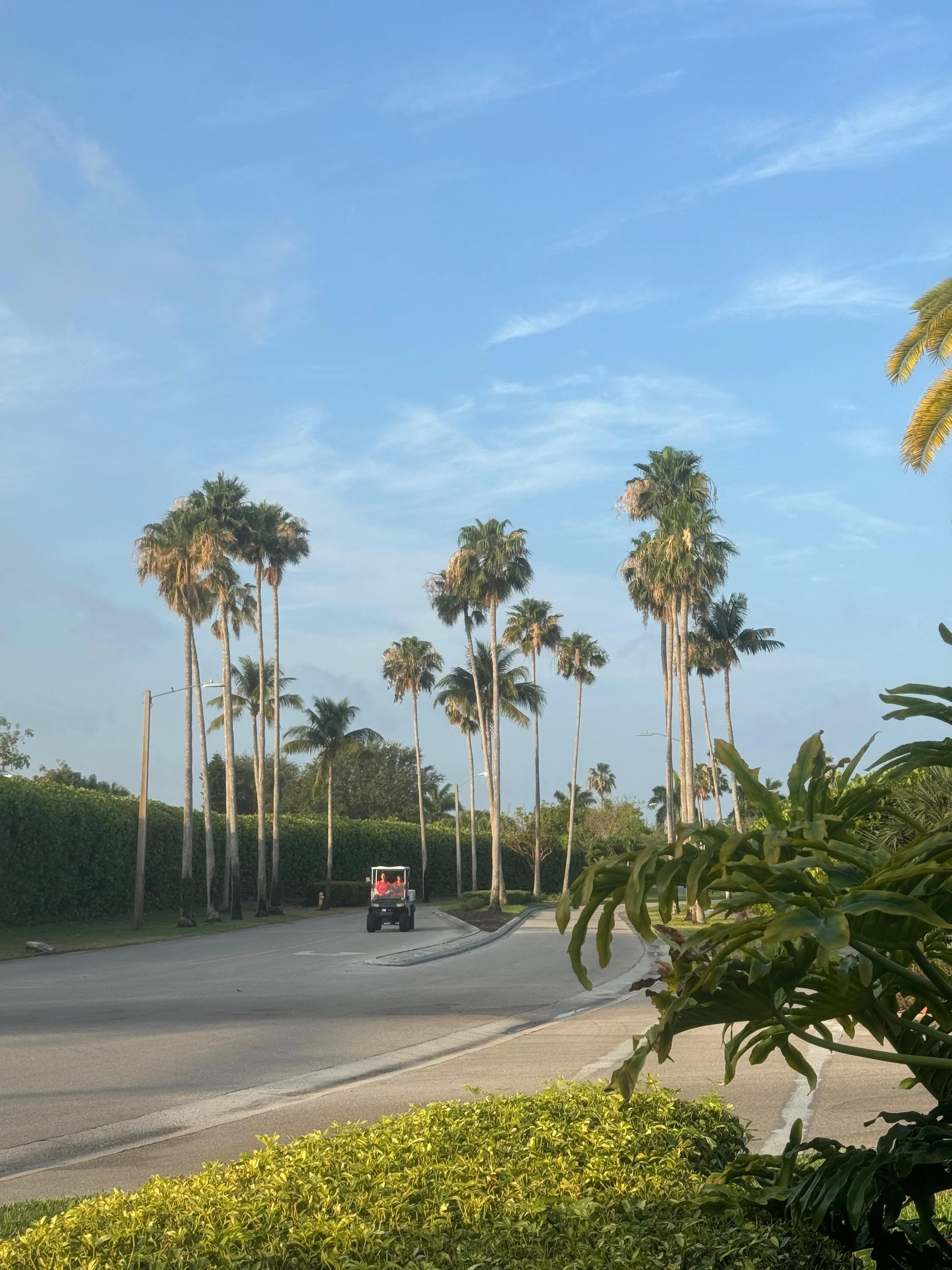 df1410dd-3316-4041-8e4b-e9b9a3bf7ca6.jpeg