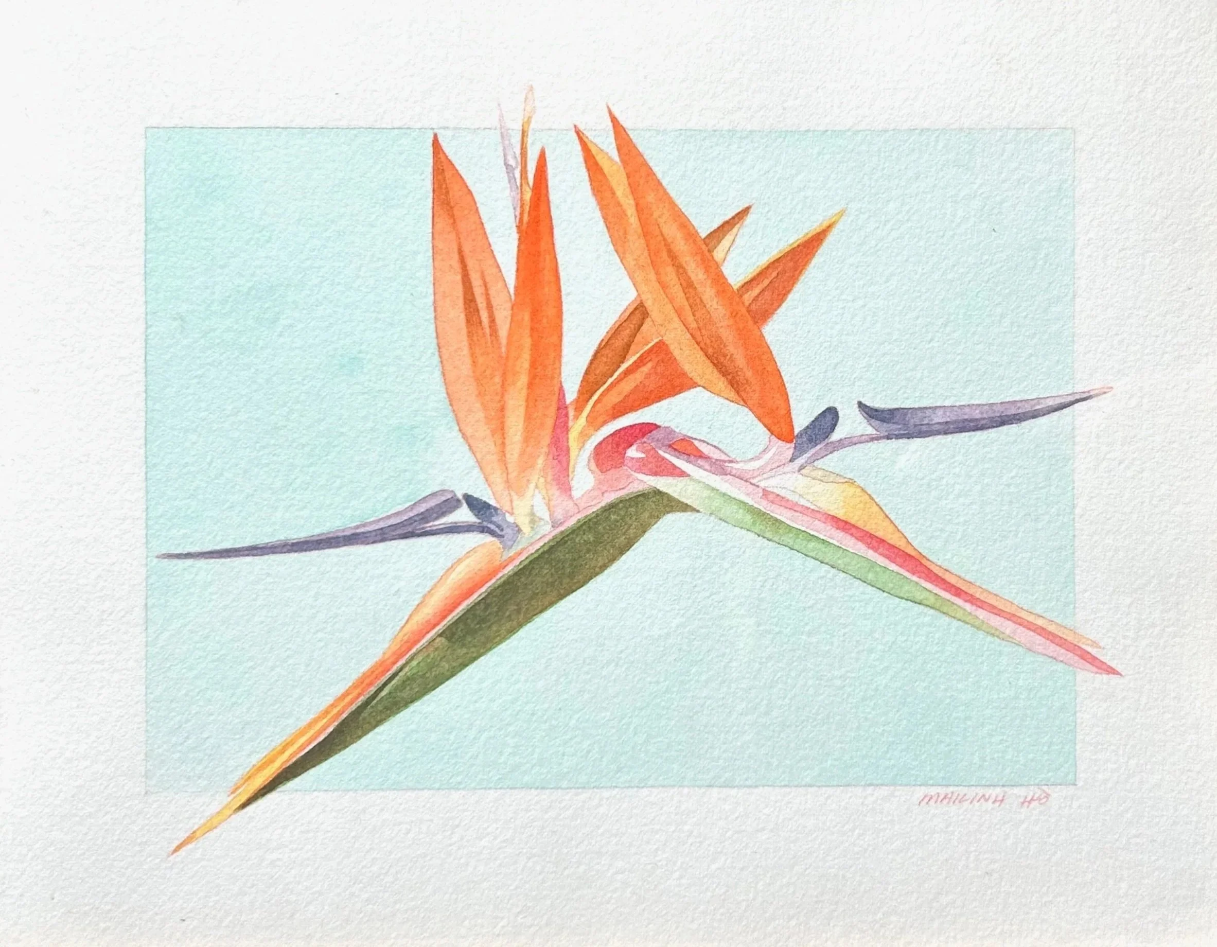 Bird of Paradise Study
 
Watercolor on Paper, 9.5 x 11.5," 2025  