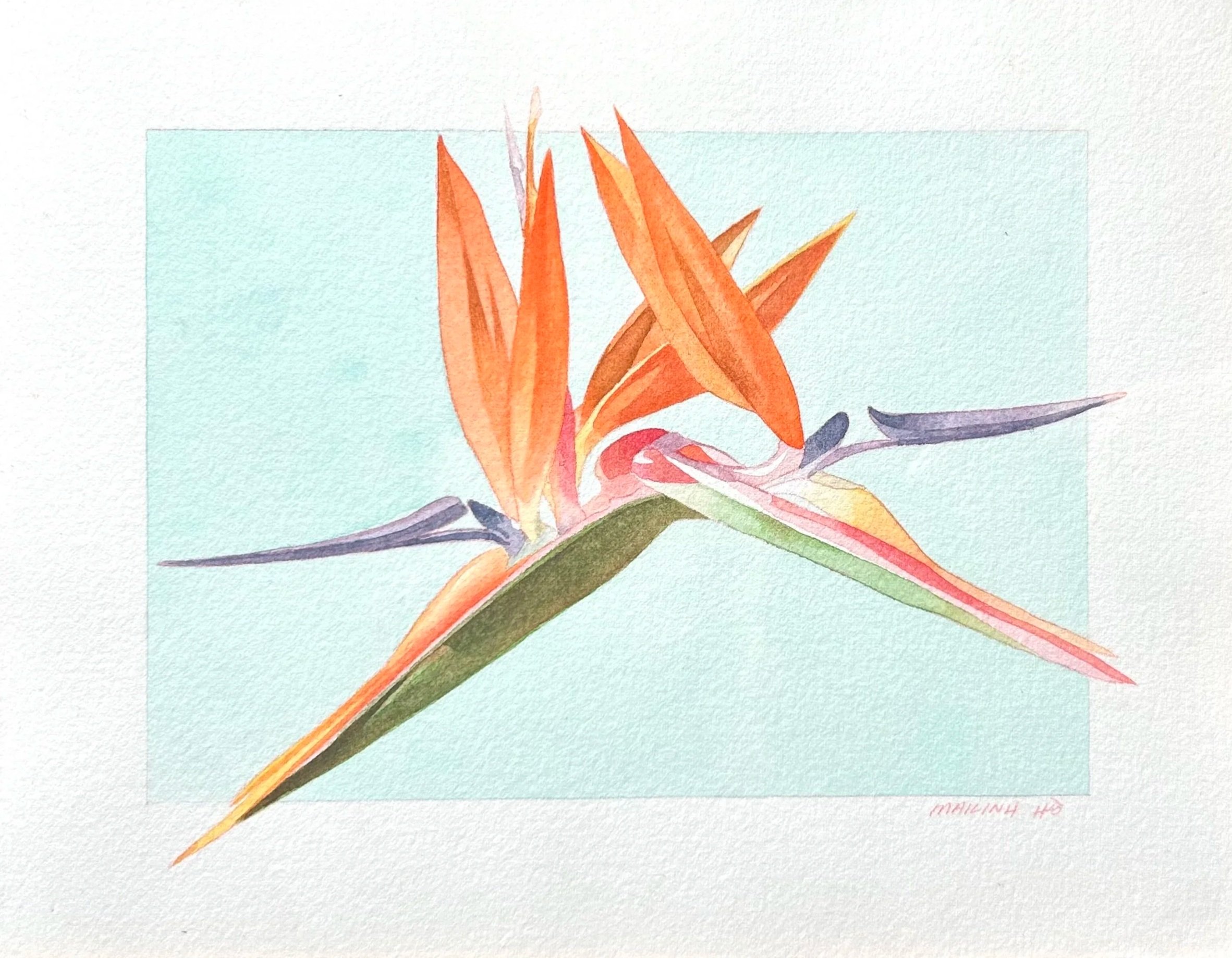 Bird of Paradise Study
 
Watercolor on Paper, 9.5 x 11.5," 2025  