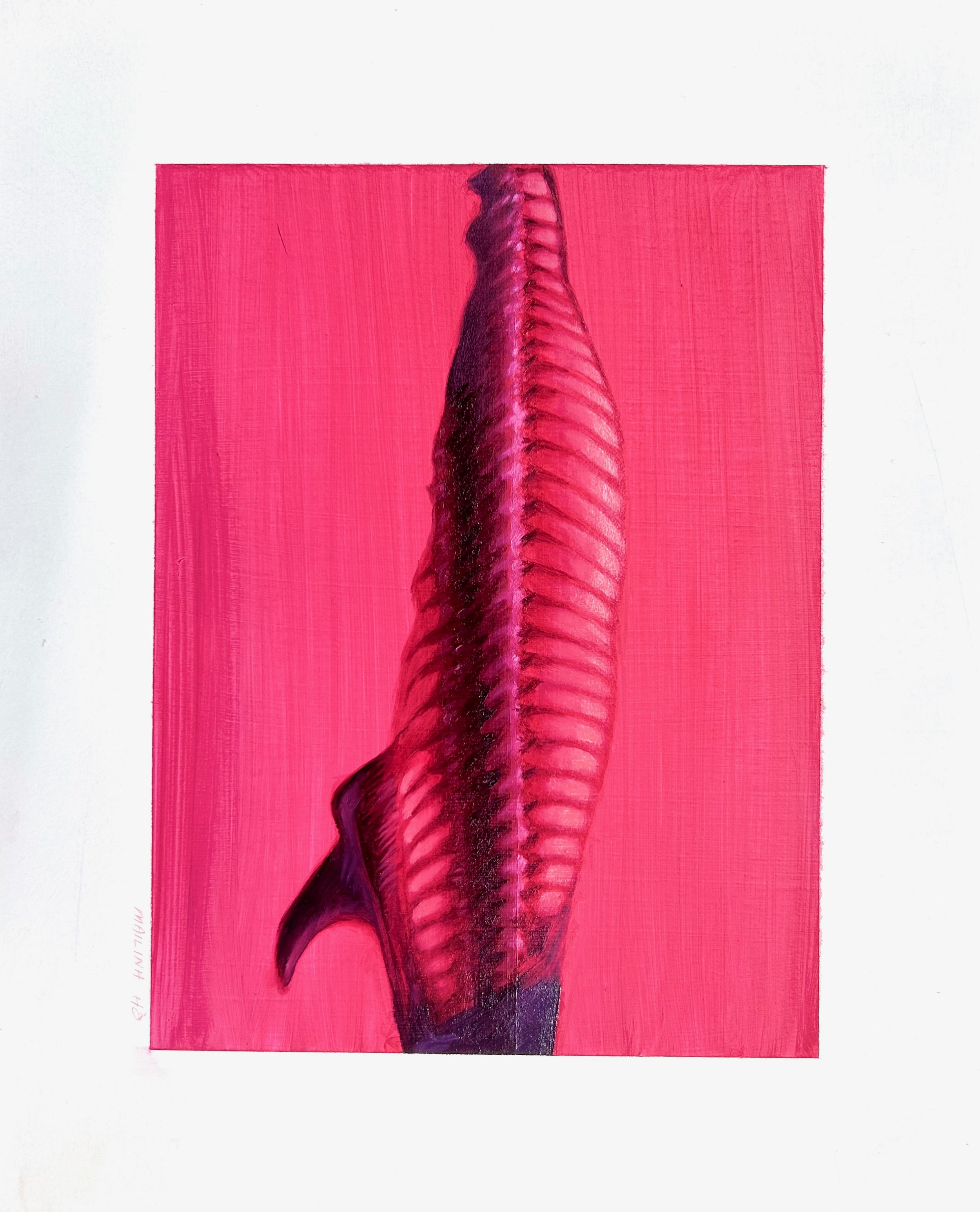 spine
  
Oil on Paper, 9 x 11," 2023
