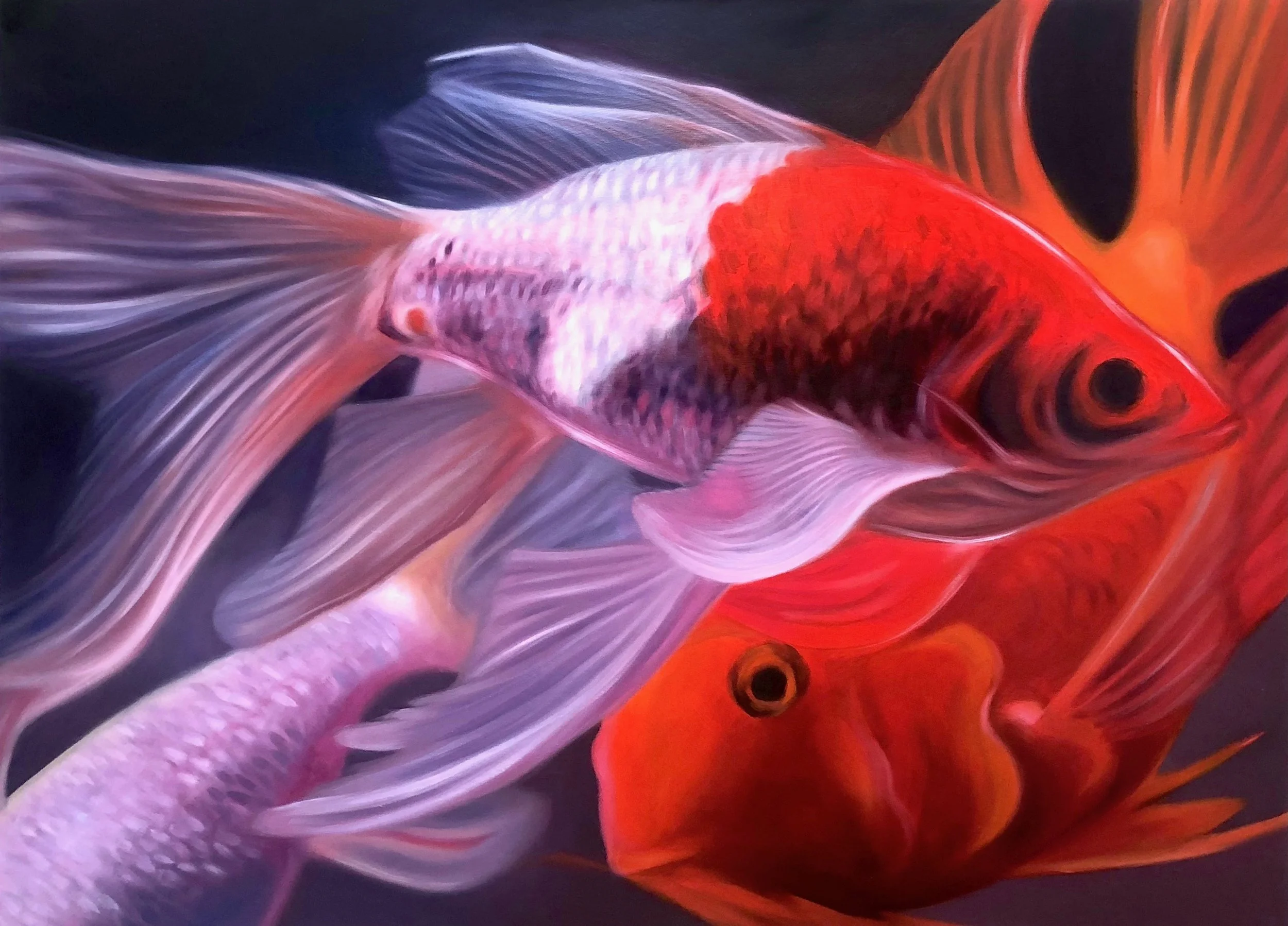 two goldfish and a cichlid
 
Oil on Paper, 22 x 30," 2019

