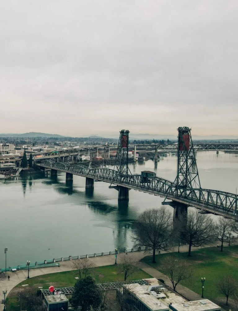 View of a river with a bridge featuring towers, in an urban area with overcast skies and trees along the riverbank.
