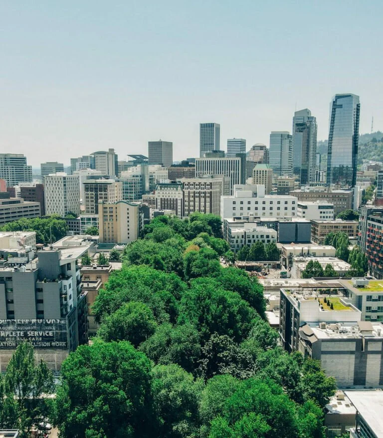 View of a cityscape with tall buildings in the background and a large green park with dense trees in the foreground.