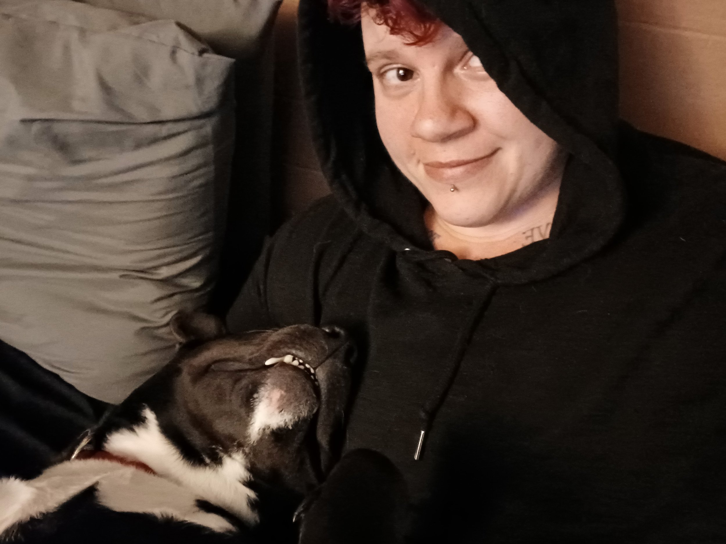 Person lying on a bed with a black and white dog resting beside them, both in a cozy indoor setting.