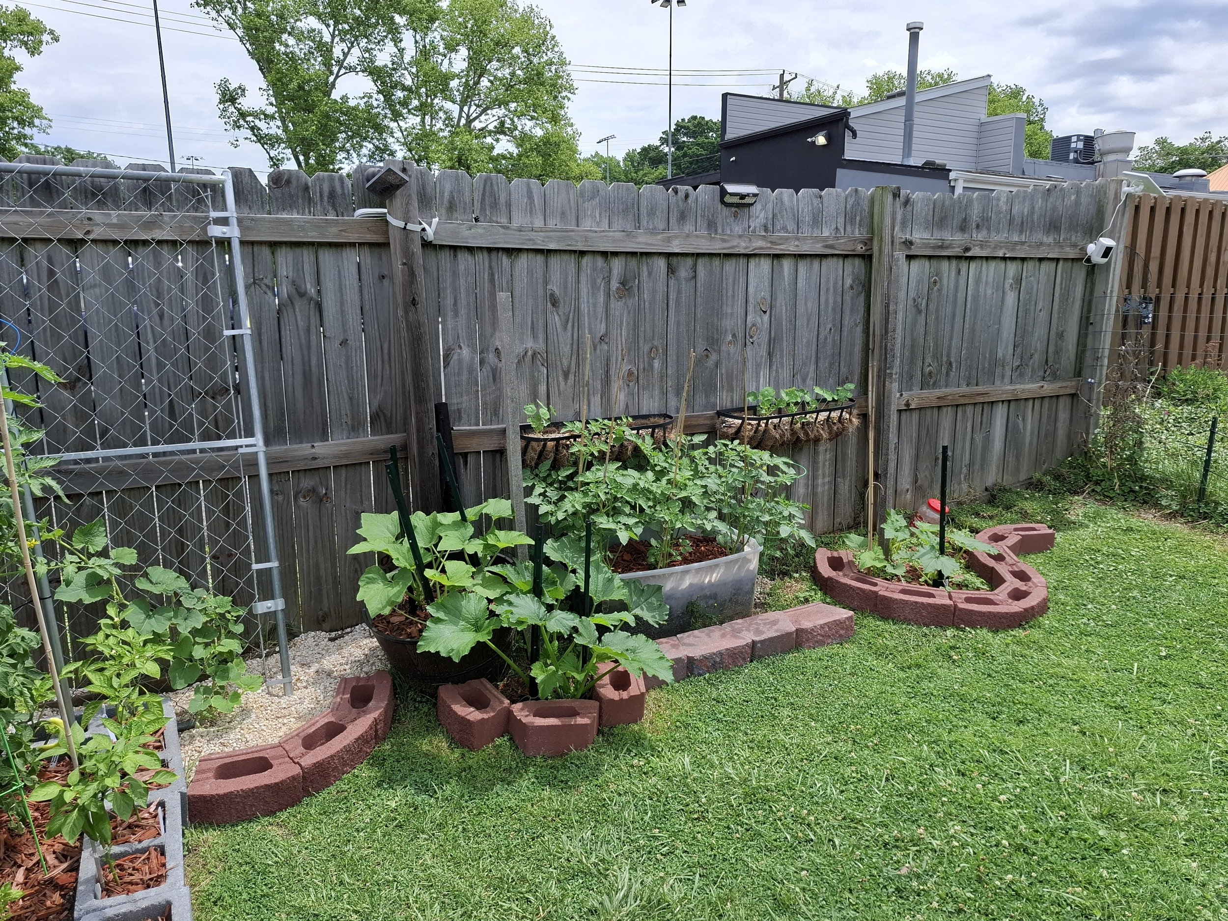 A backyard garden with a wooden fence, a small garden bed with sunflowers, a row of red bricks forming a border, and a patch of green grass under a cloudy sky.