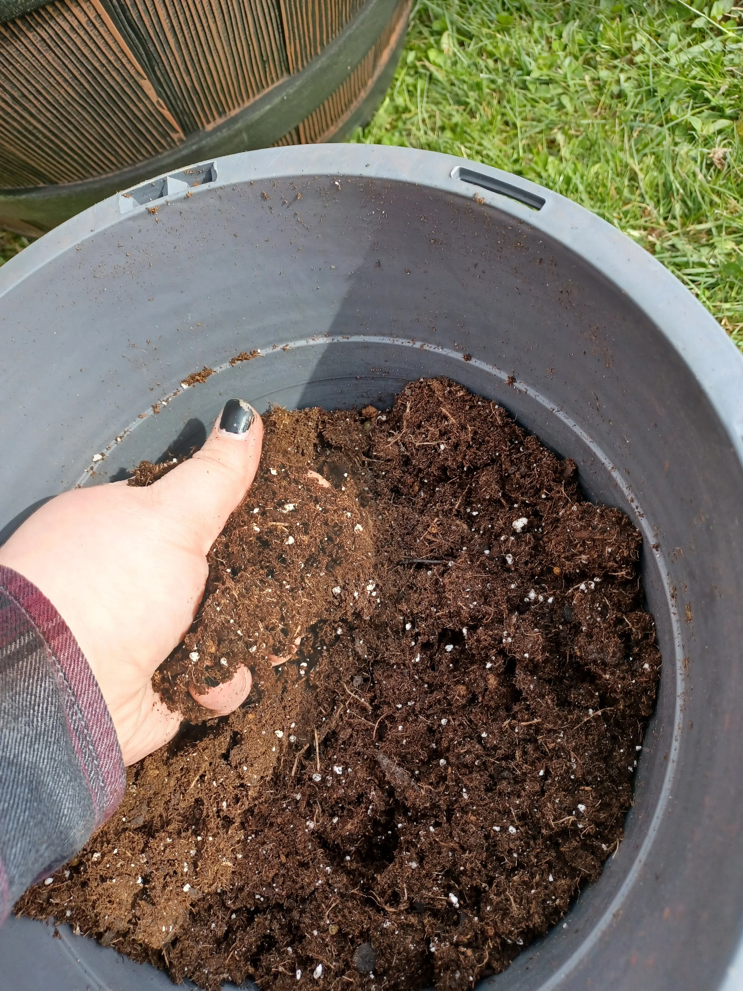 Close-up view of a person's hand holding a black plastic planter filled with dark potting soil, with another empty planter in the background outdoors.