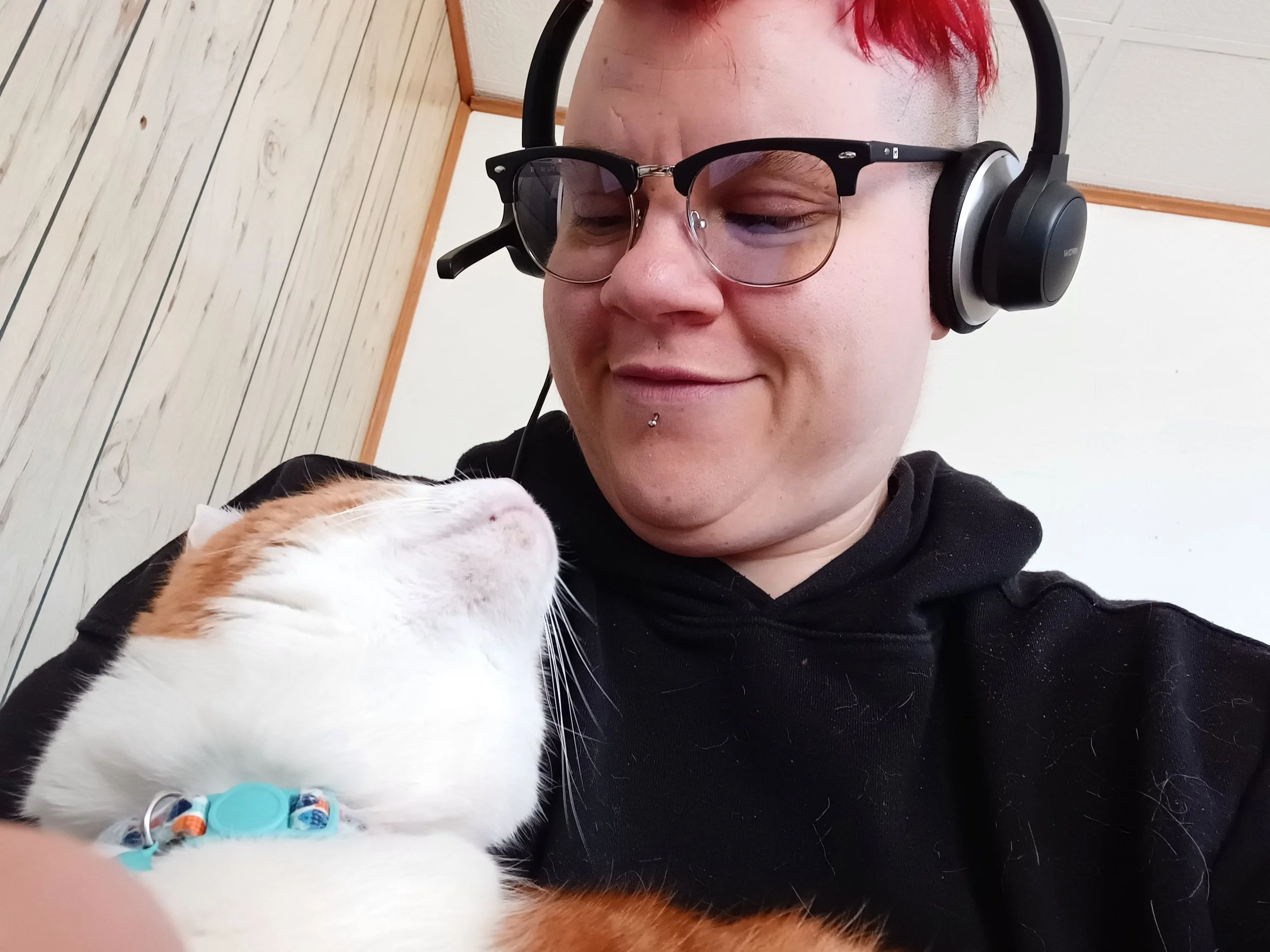 A person with red hair, glasses, and a nose piercing is smiling and looking at a white and orange cat with a blue collar. The person is wearing a black hoodie and headphones, and the background shows white wooden walls.