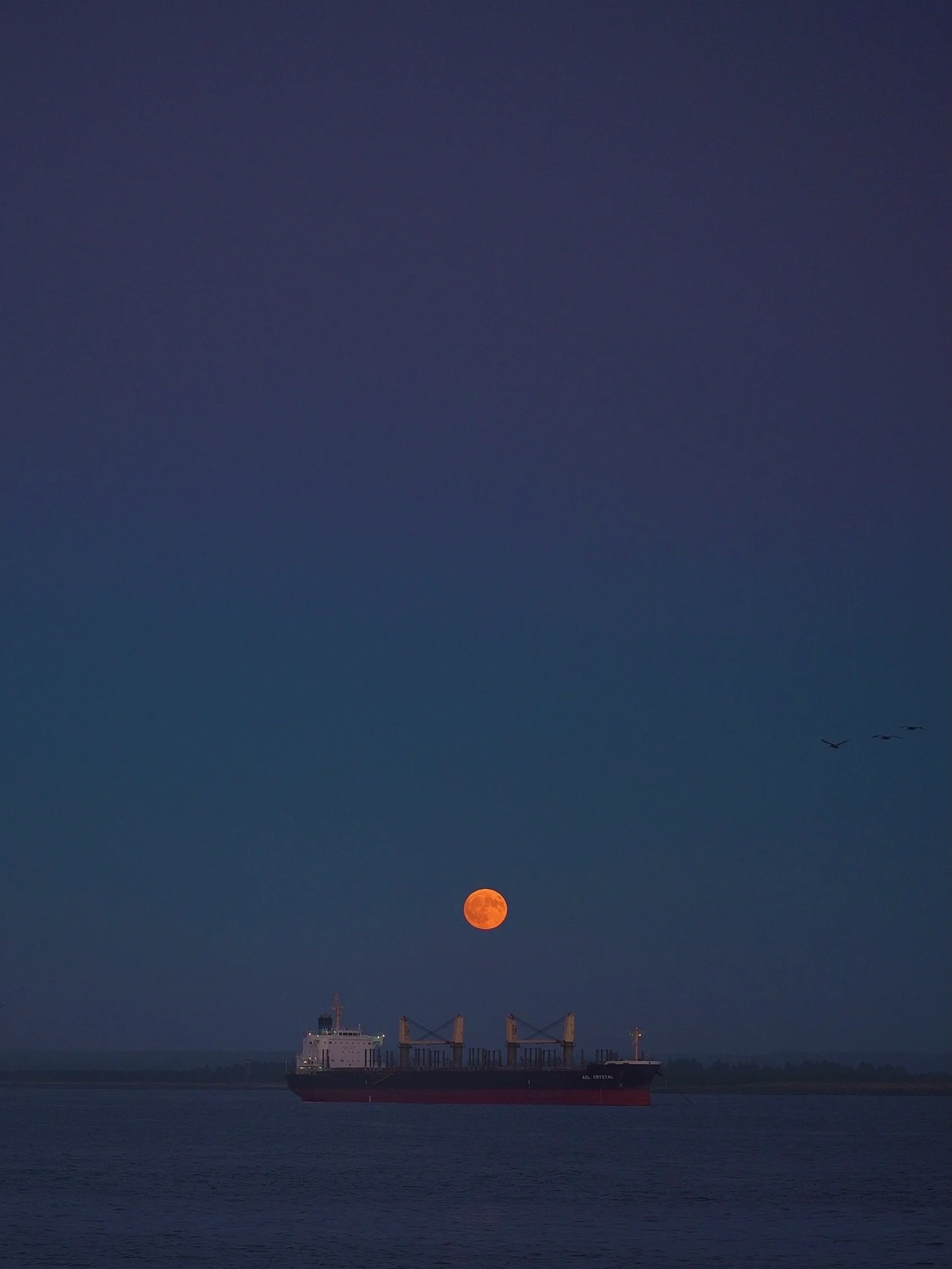 📍Ocean Shores, WA
🌊🦀🚢

#fufjifilm #washingtonstate #washingtonphotographer 
Pacific Northwest photography, west coast, nature photos, PNW, Pacific Ocean,