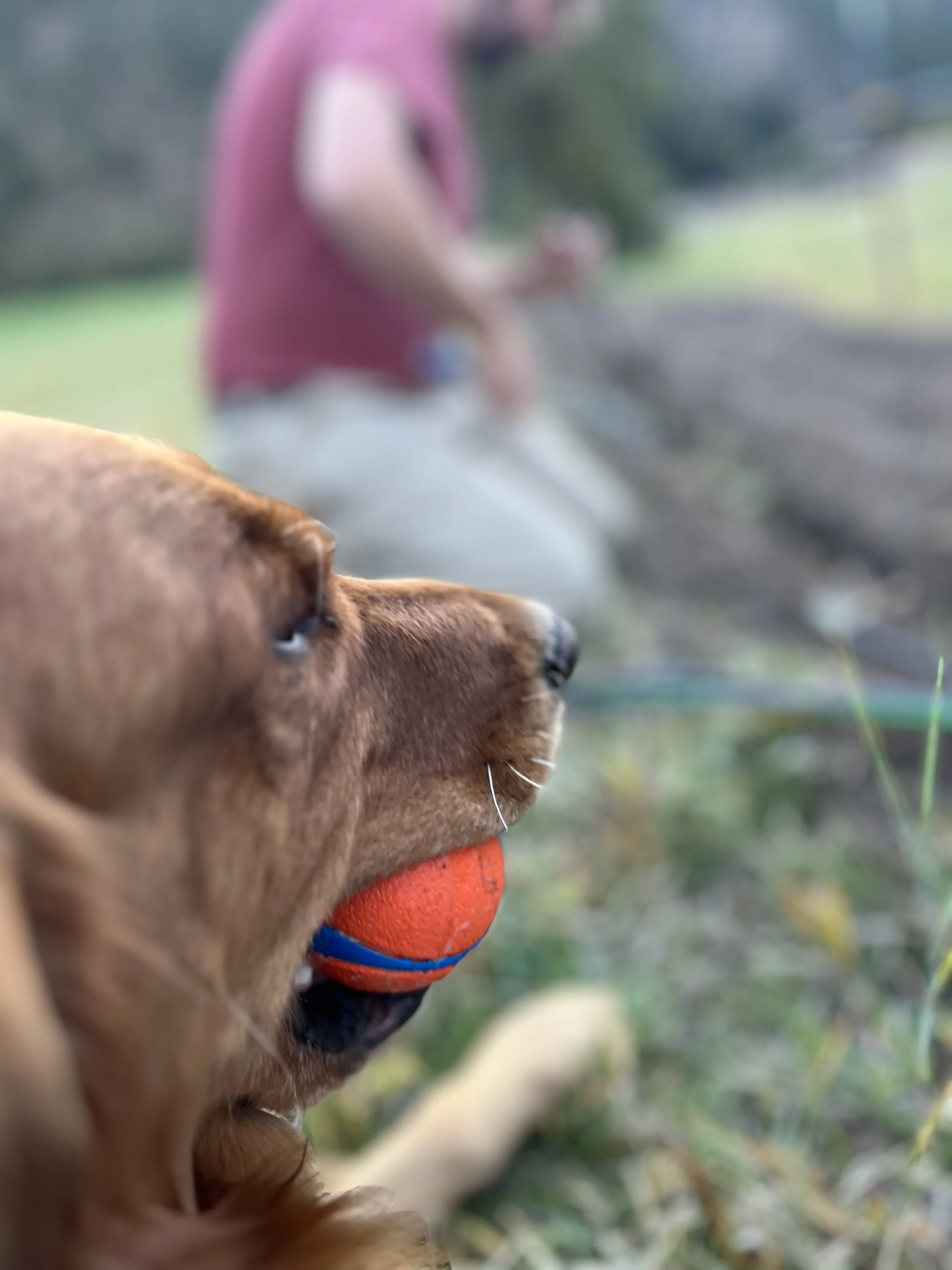 Ranch well dog.jpg