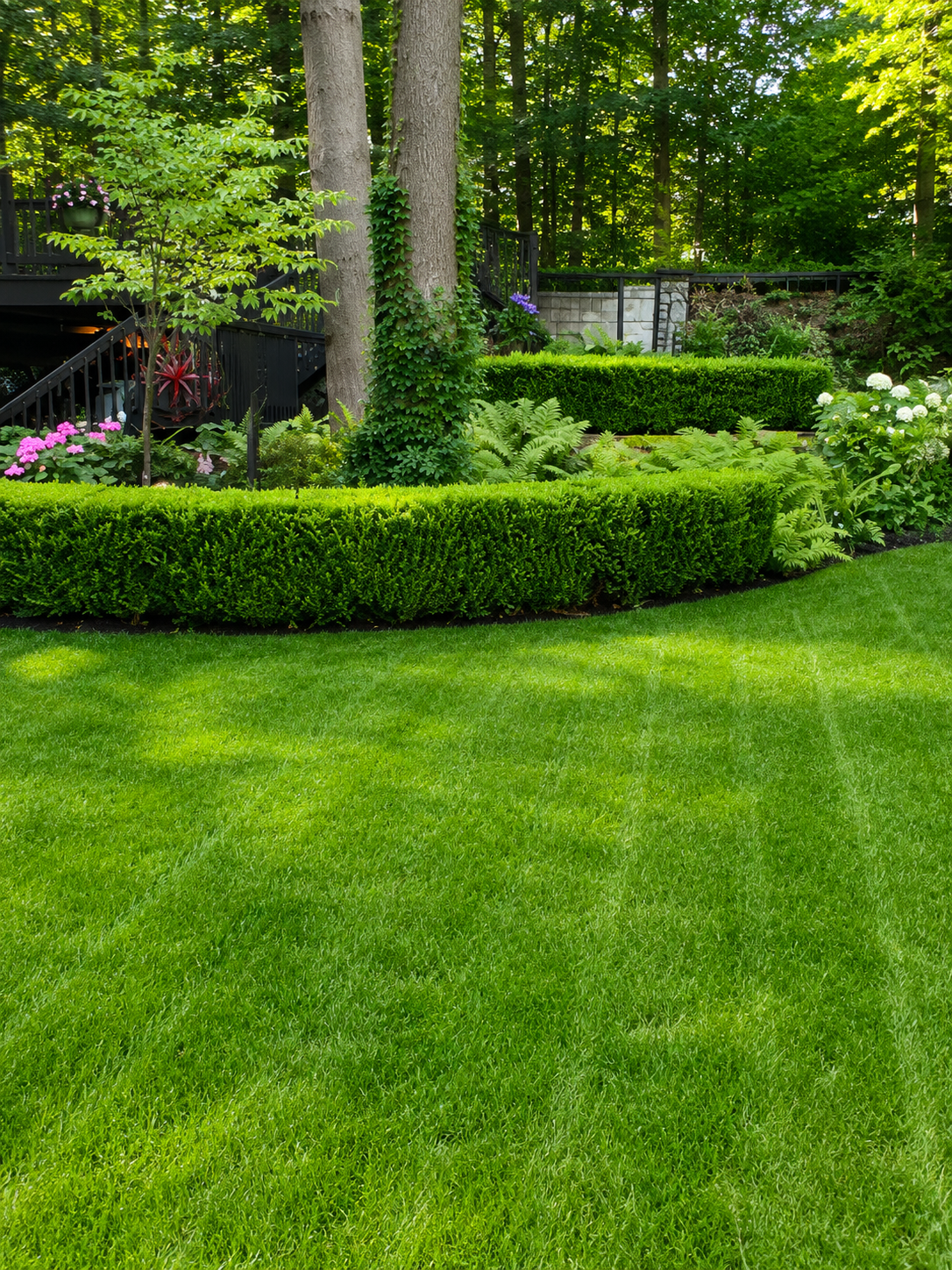 A well-maintained backyard with lush green grass, trimmed bushes, trees, and various plants, including flowering shrubs and decorative foliage.