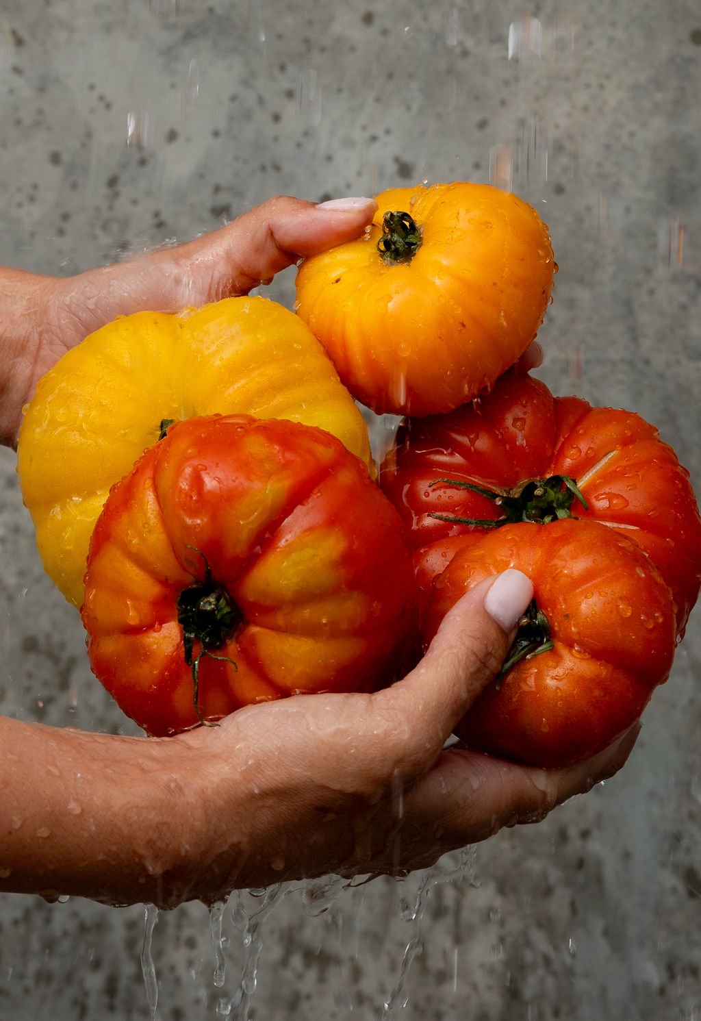 A person holding heirloom tomatoes under running water.