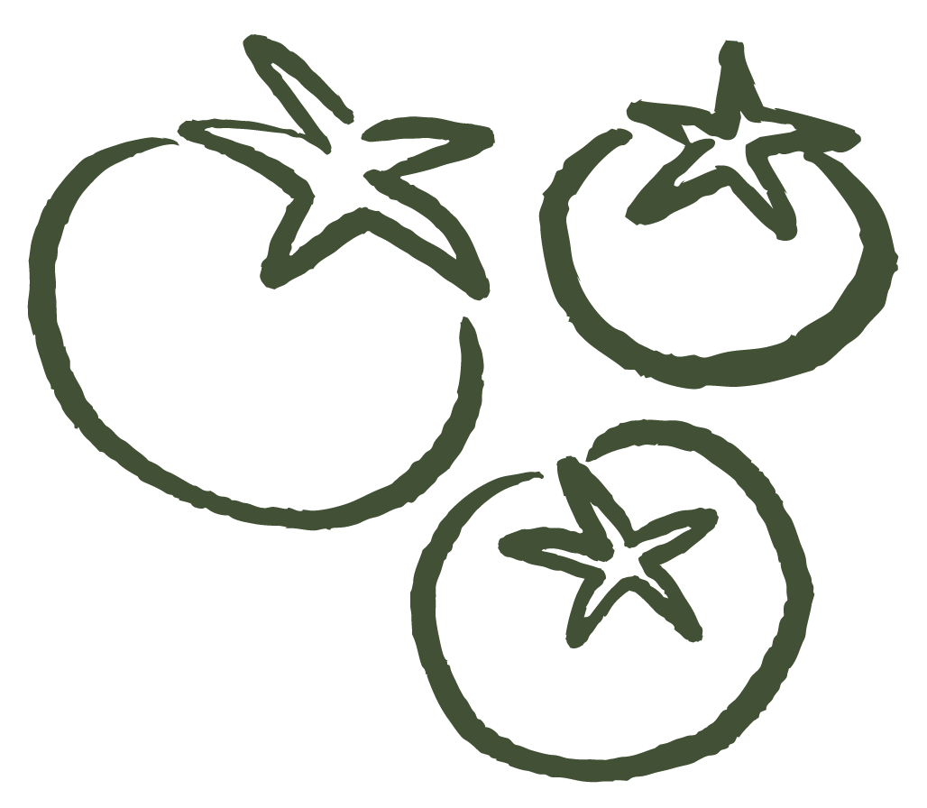 Hand-drawn illustration of three tomatoes with star-shaped leaves.