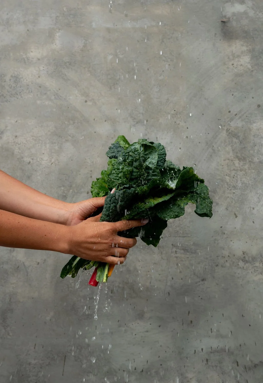 Person rinsing kale or leafy greens under running water, gray concrete wall background.