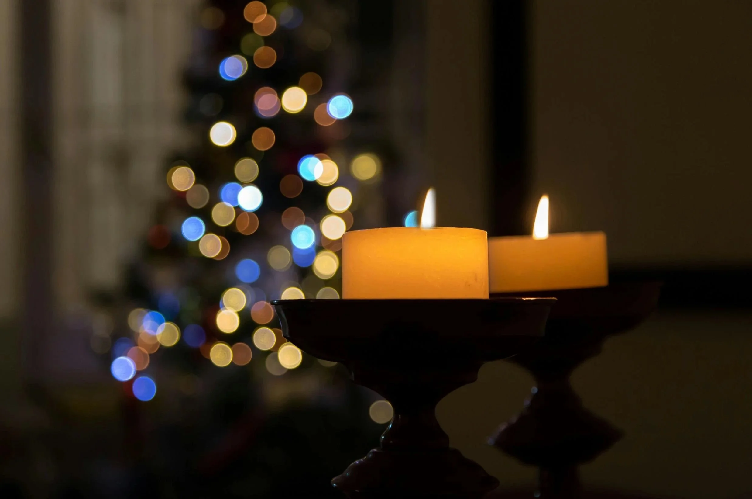 Surviving the Holidays