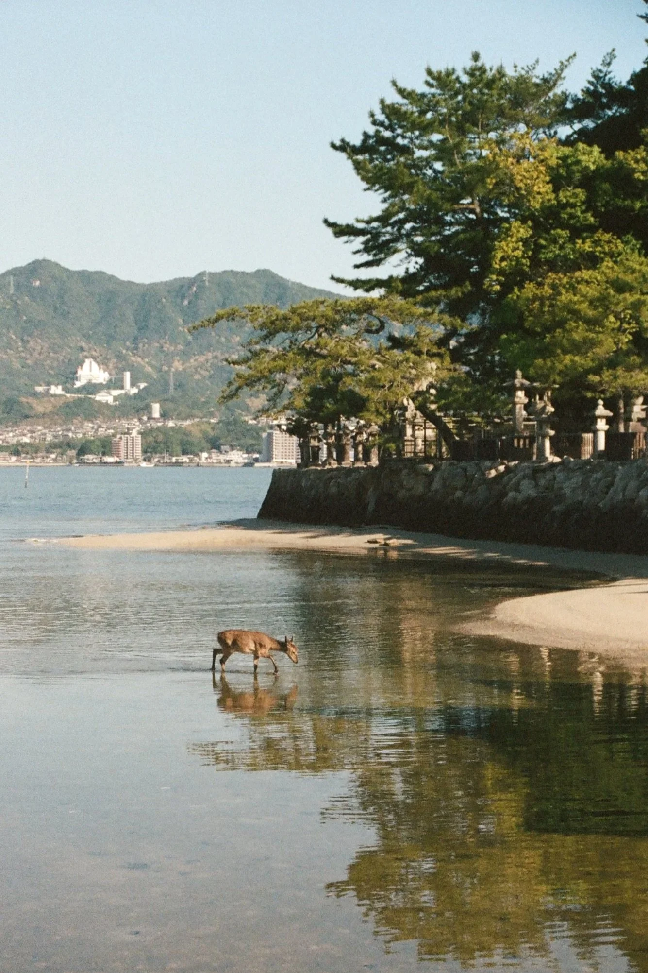 Japan 2026