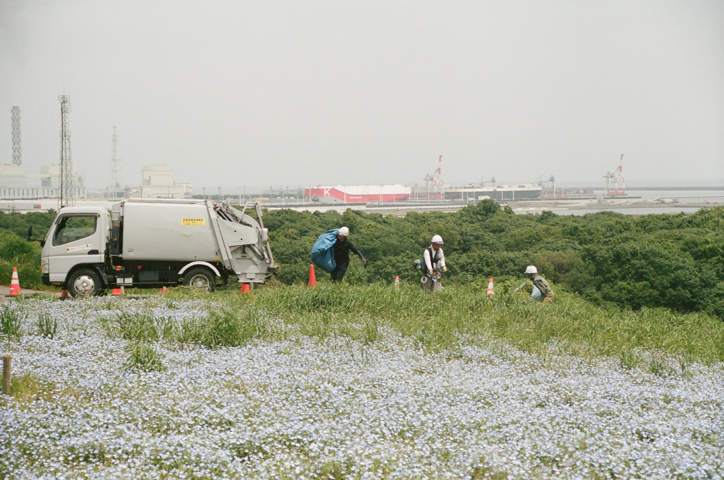 Japan 2026