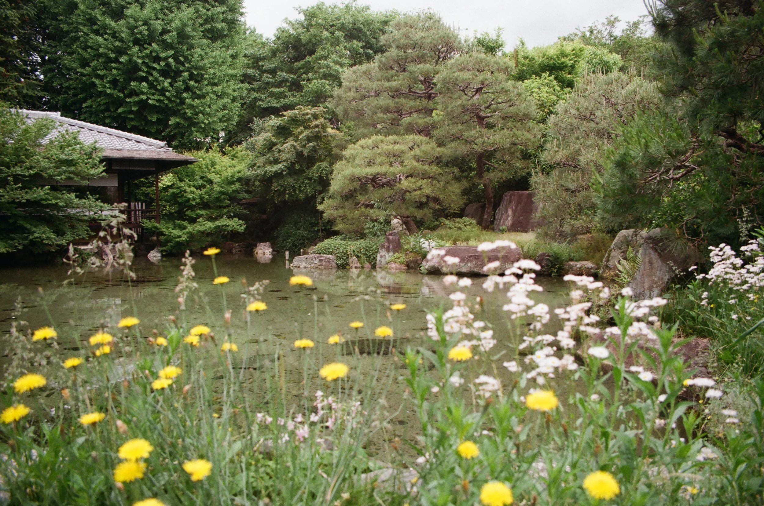 Japan 2026
