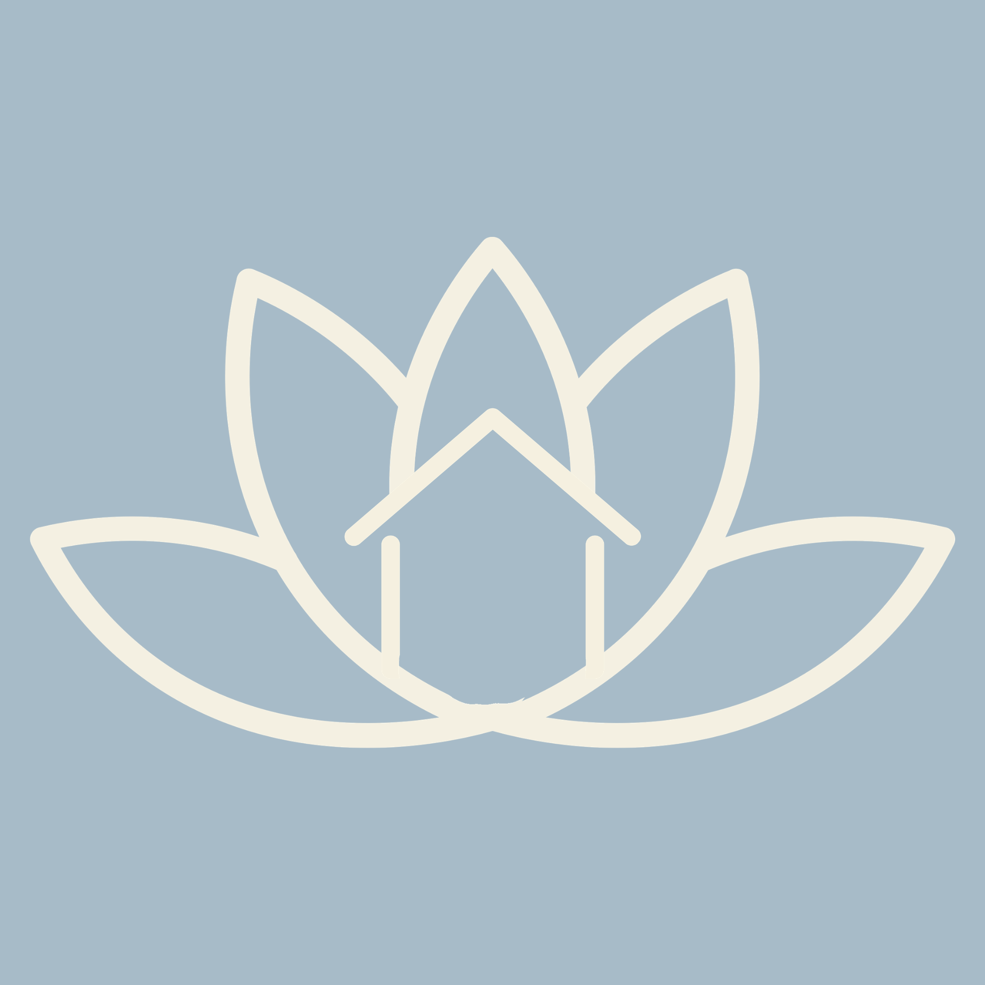 Outline of a lotus flower on a light blue background.