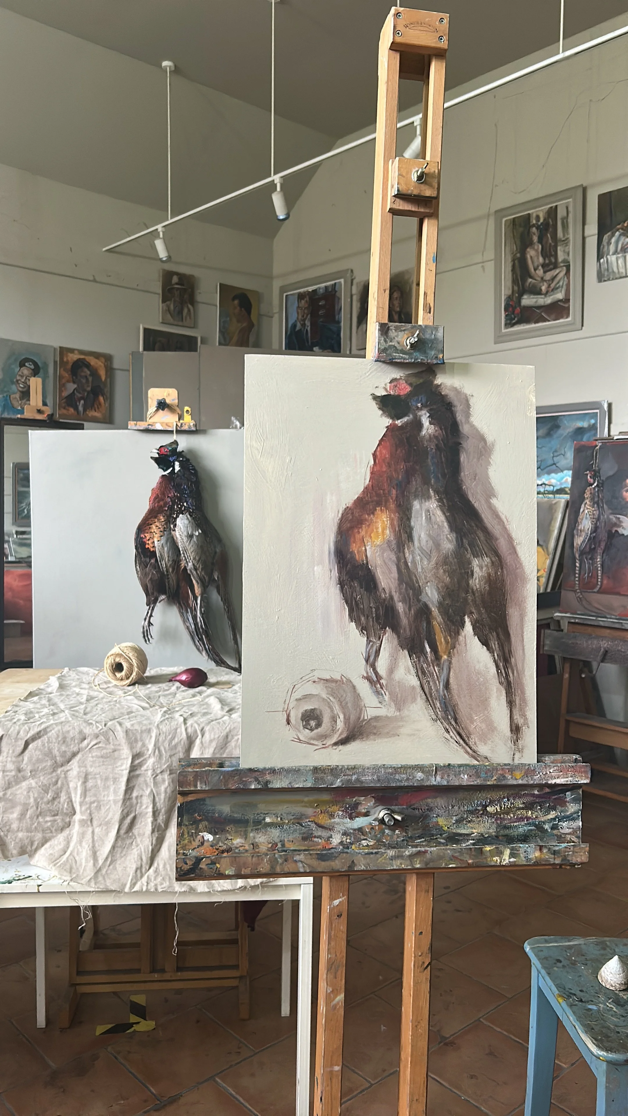 Pheasants with String Ball studio set up.JPG