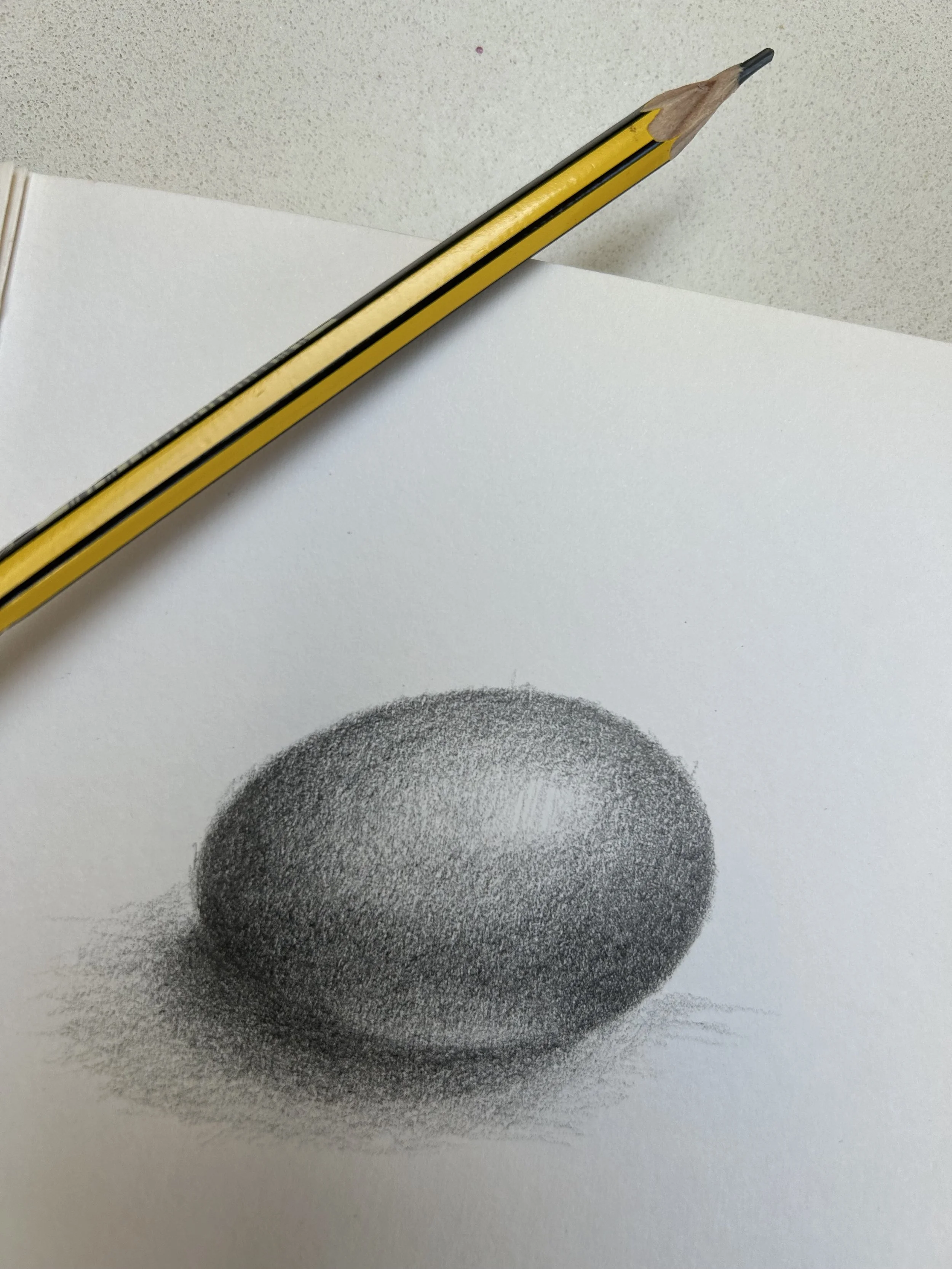 Egg Pencil Sketch with pencil.jpeg