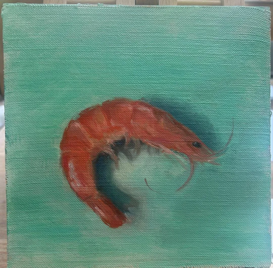 Shrimp - New