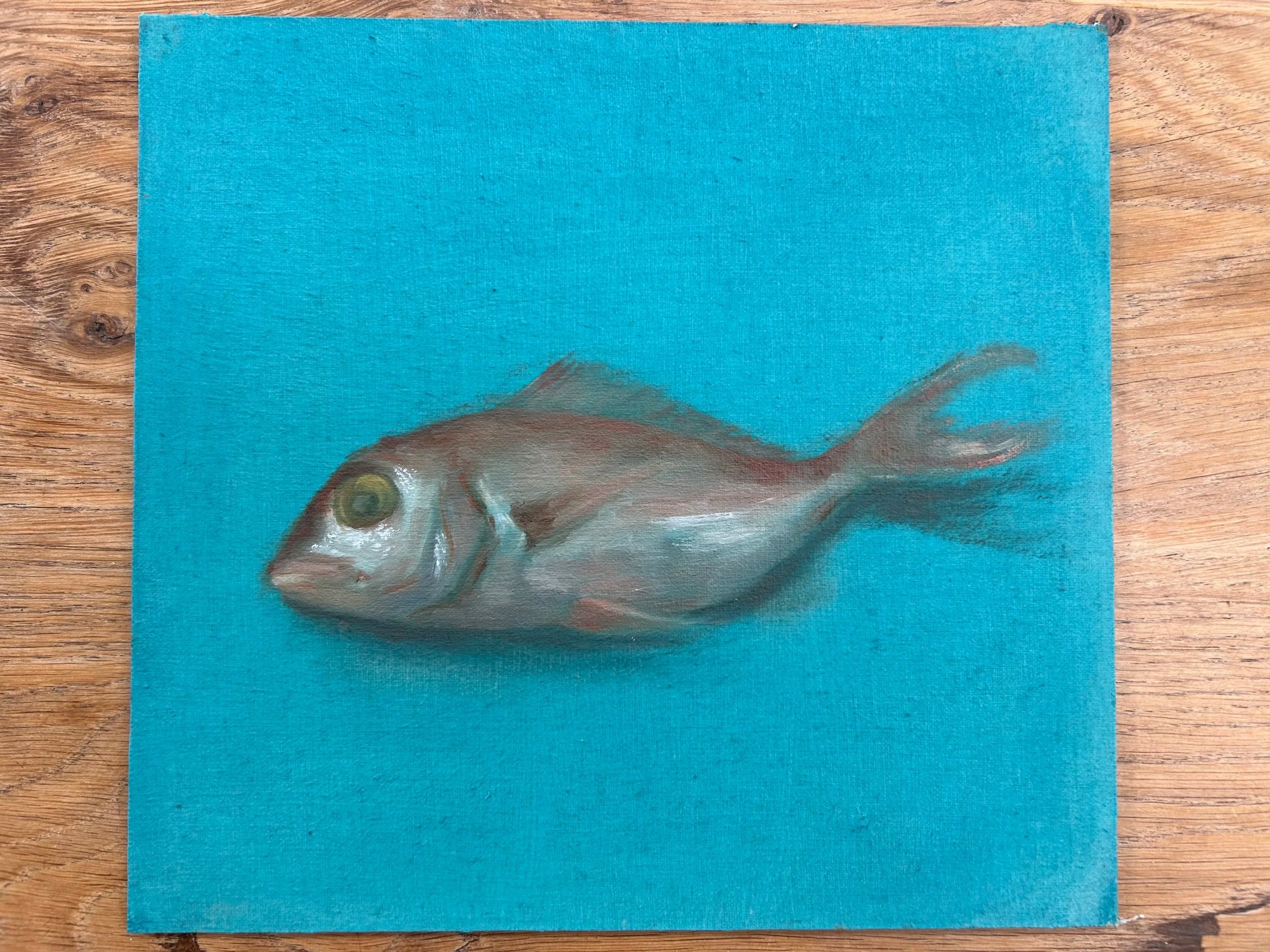 Pink+Snapper+on+Turq+ground.jpg