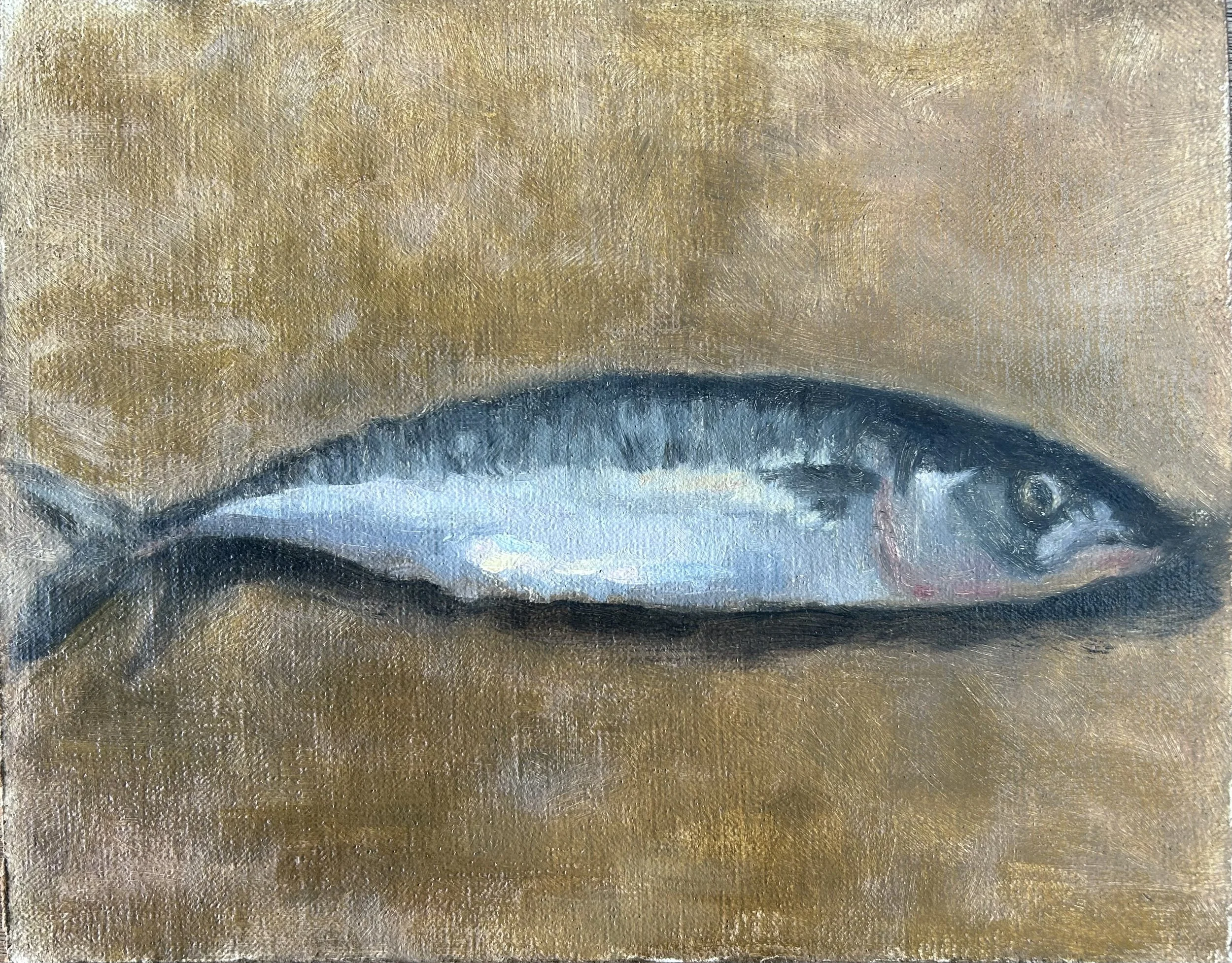 Mackerel - SOLD