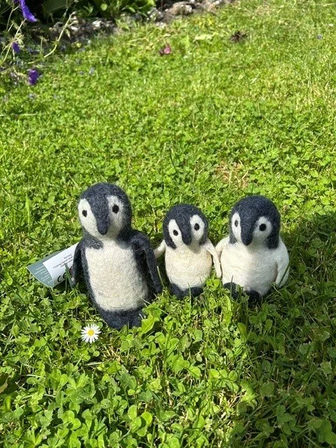 Penguin Family
