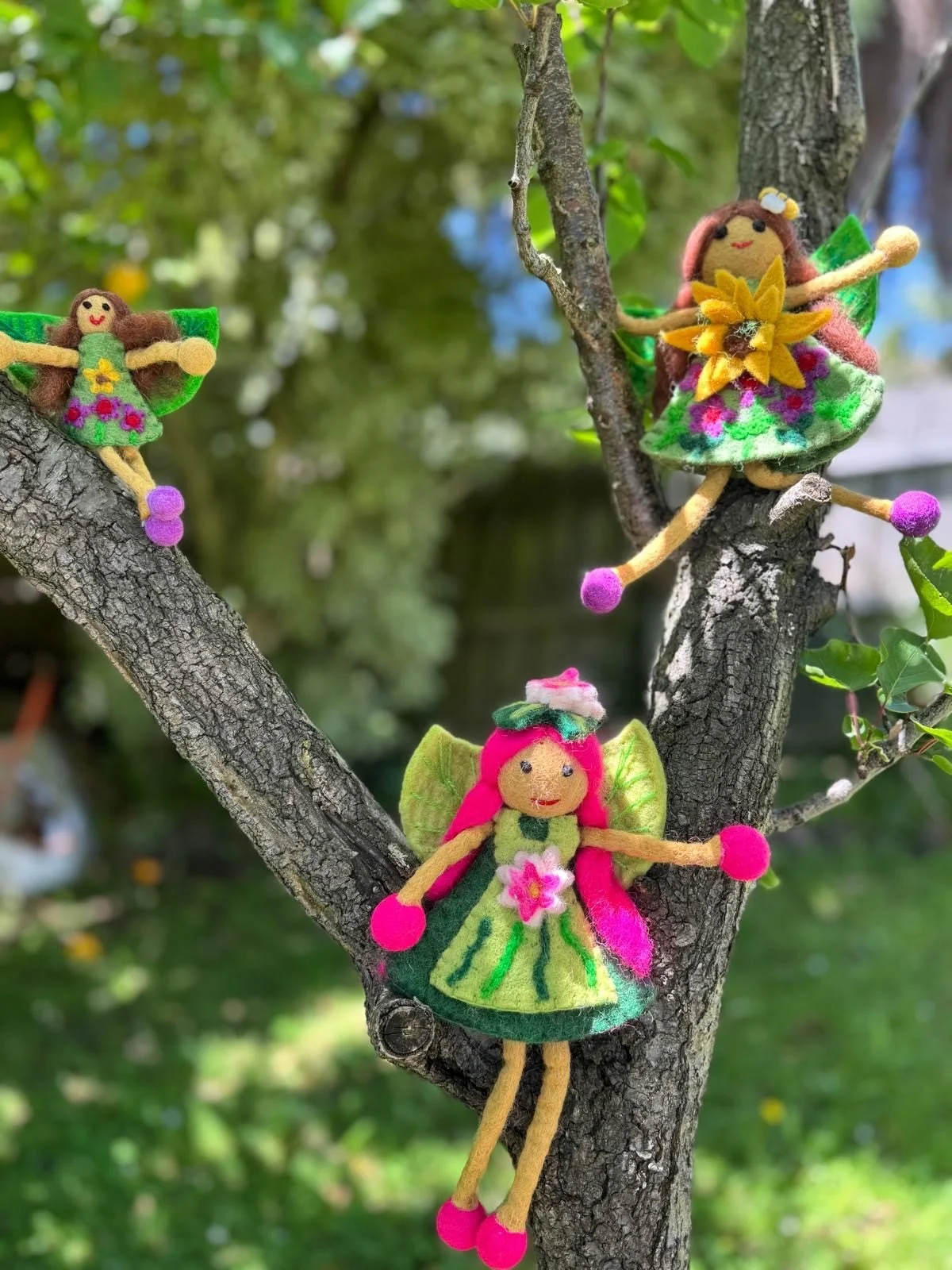 Faeries