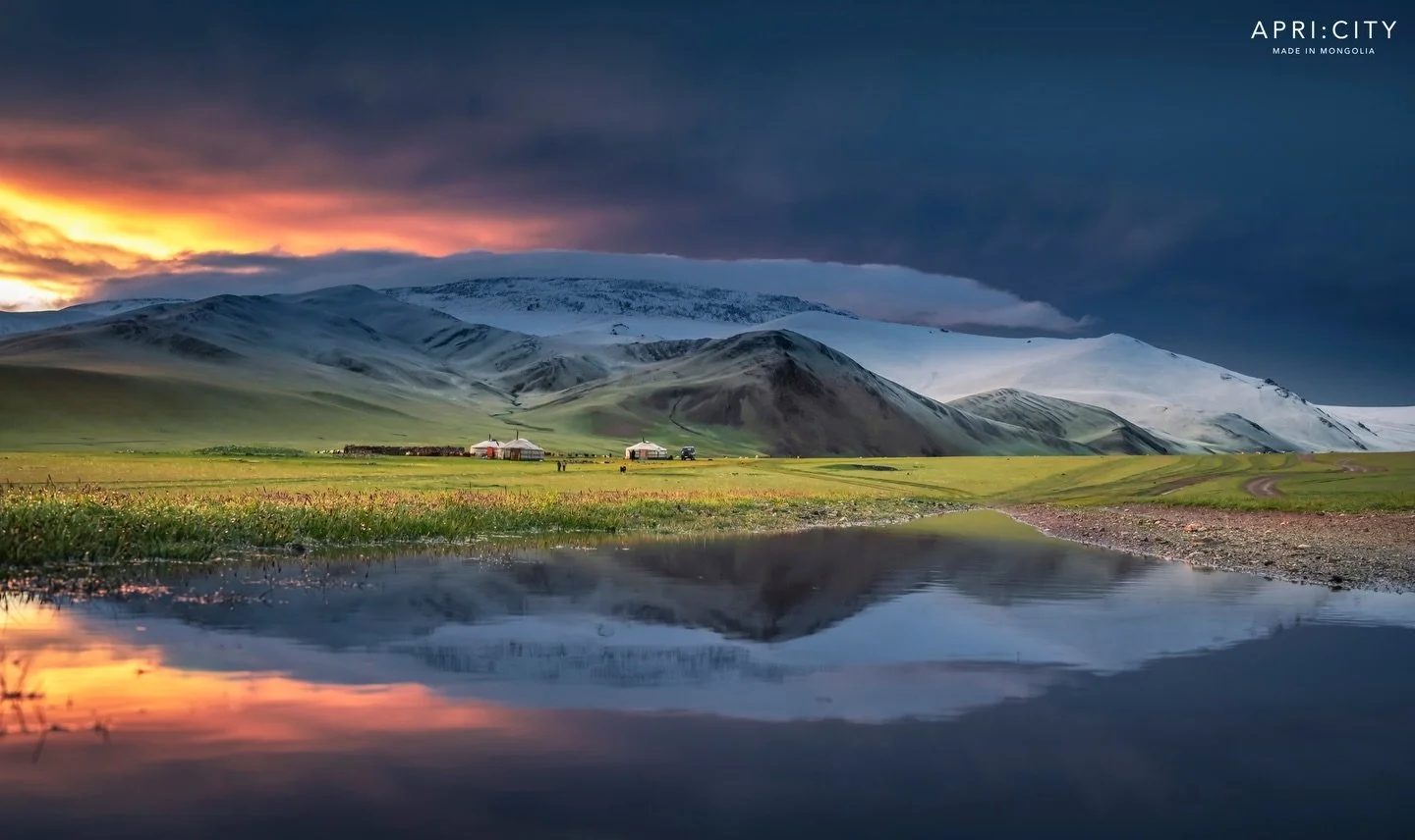 Cashmere from untouched land and nomadic life, where sustainability is not claimed, but lived.

This is where Apricity begins.
Made in Mongolia.

#ApricityCashmere  #HeritageCashmere #TrueSustainability #QuietLuxury