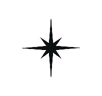 A black star-like compass rose symbol on a white background.