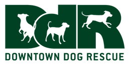 Downtown Dog Rescue